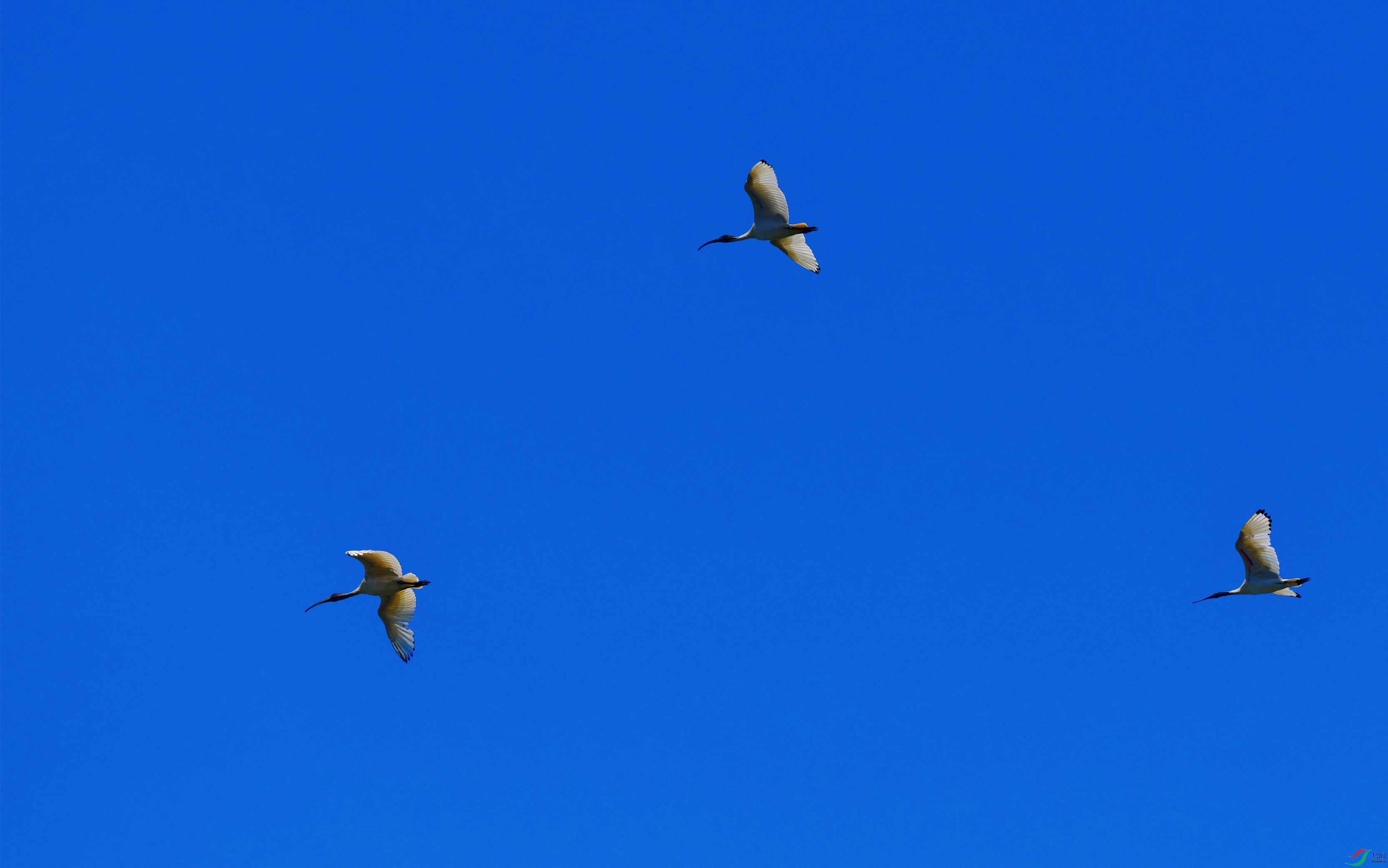 DSC_8268_��ͼ��_����.jpg