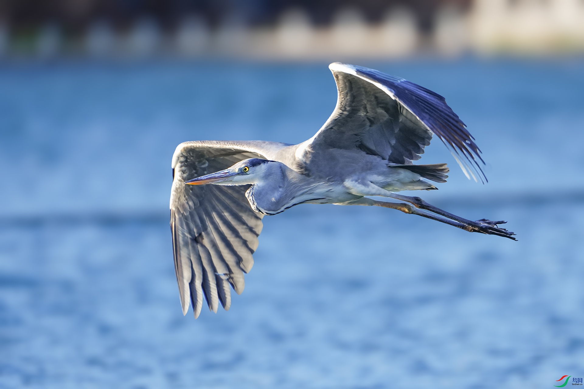 DSC04422 ����.jpg