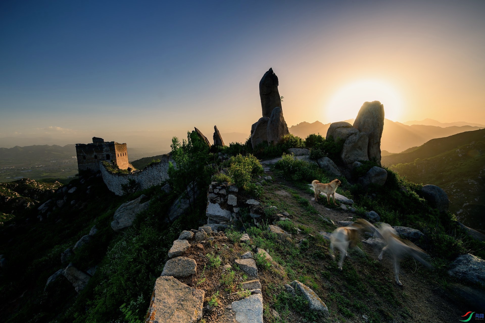 1_DSC7621-����ǿ-NR ���� 2.jpeg