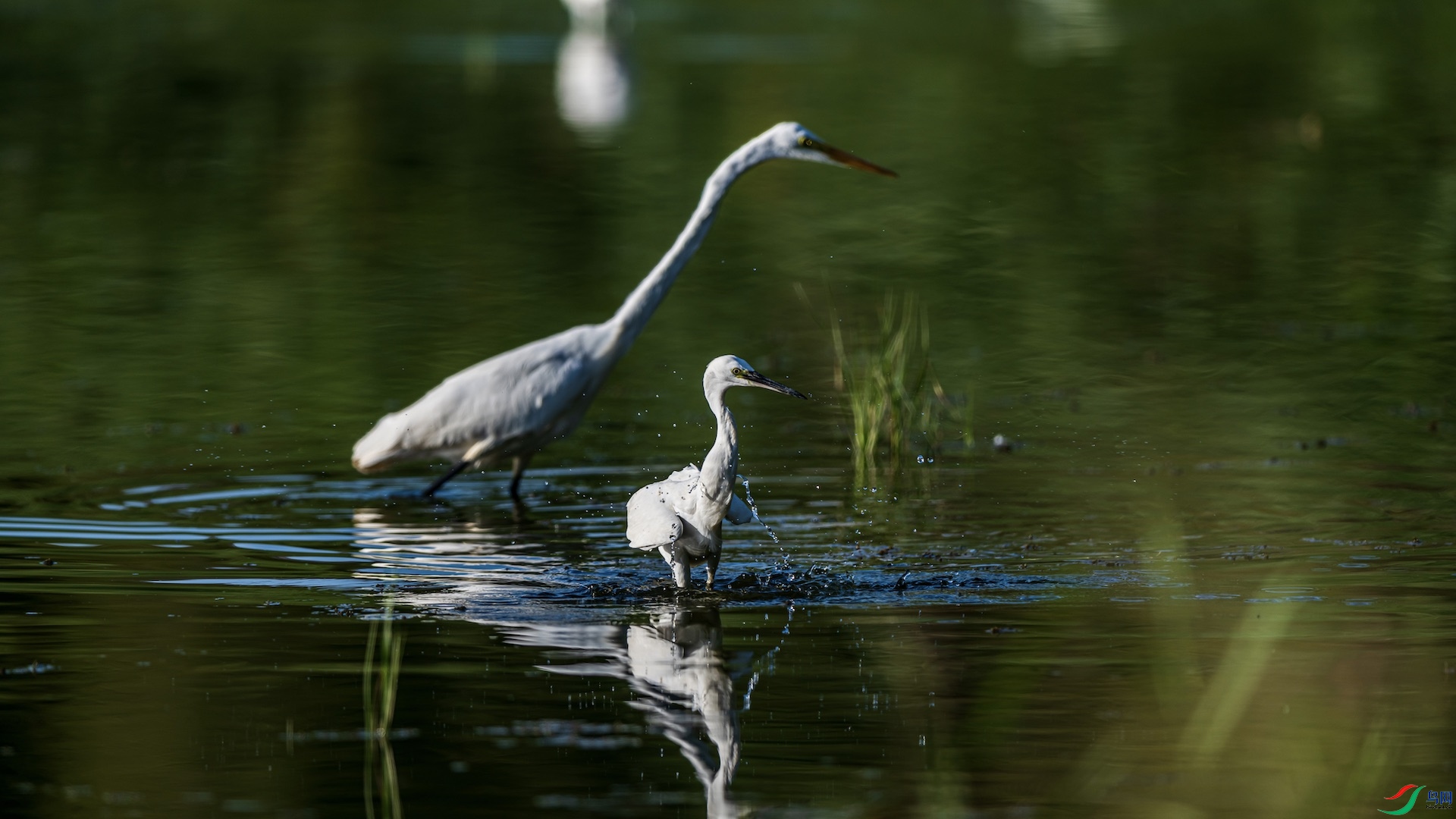 1_XXI0878 ����.jpeg