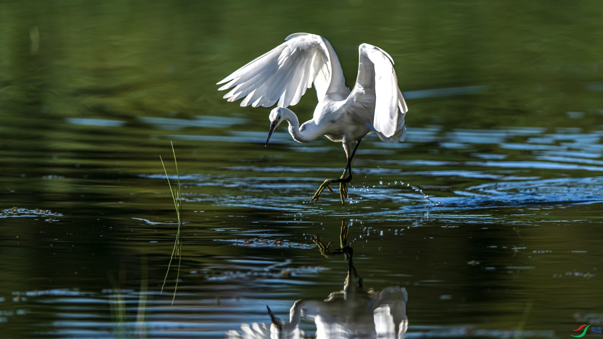 1_XXI0895 ����.jpeg