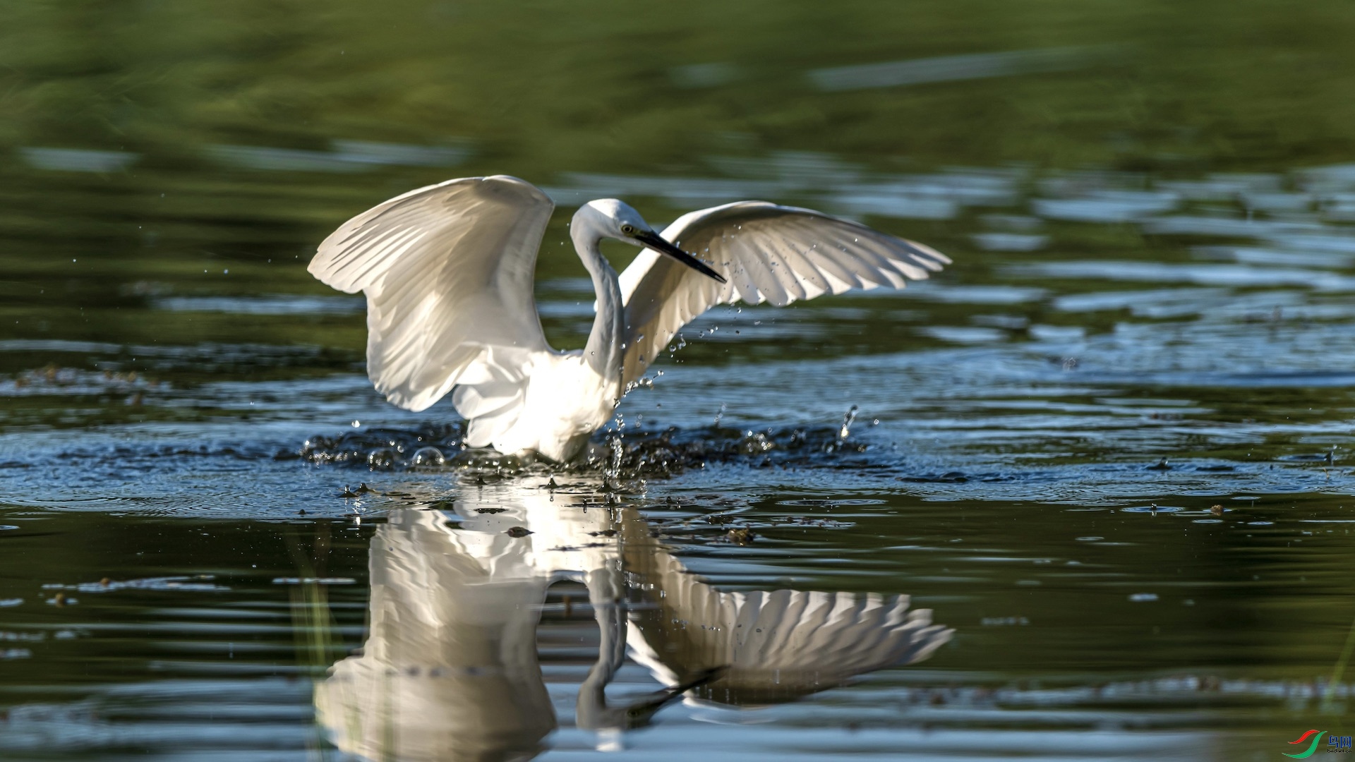 1_XXI0902 ����.jpeg