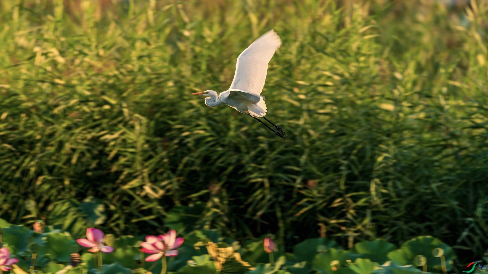 1_XXI2170 ����.jpeg