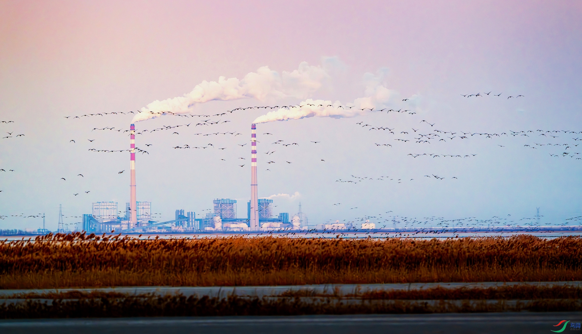 1_XXL7076-����ǿ-NR-1 2.jpeg