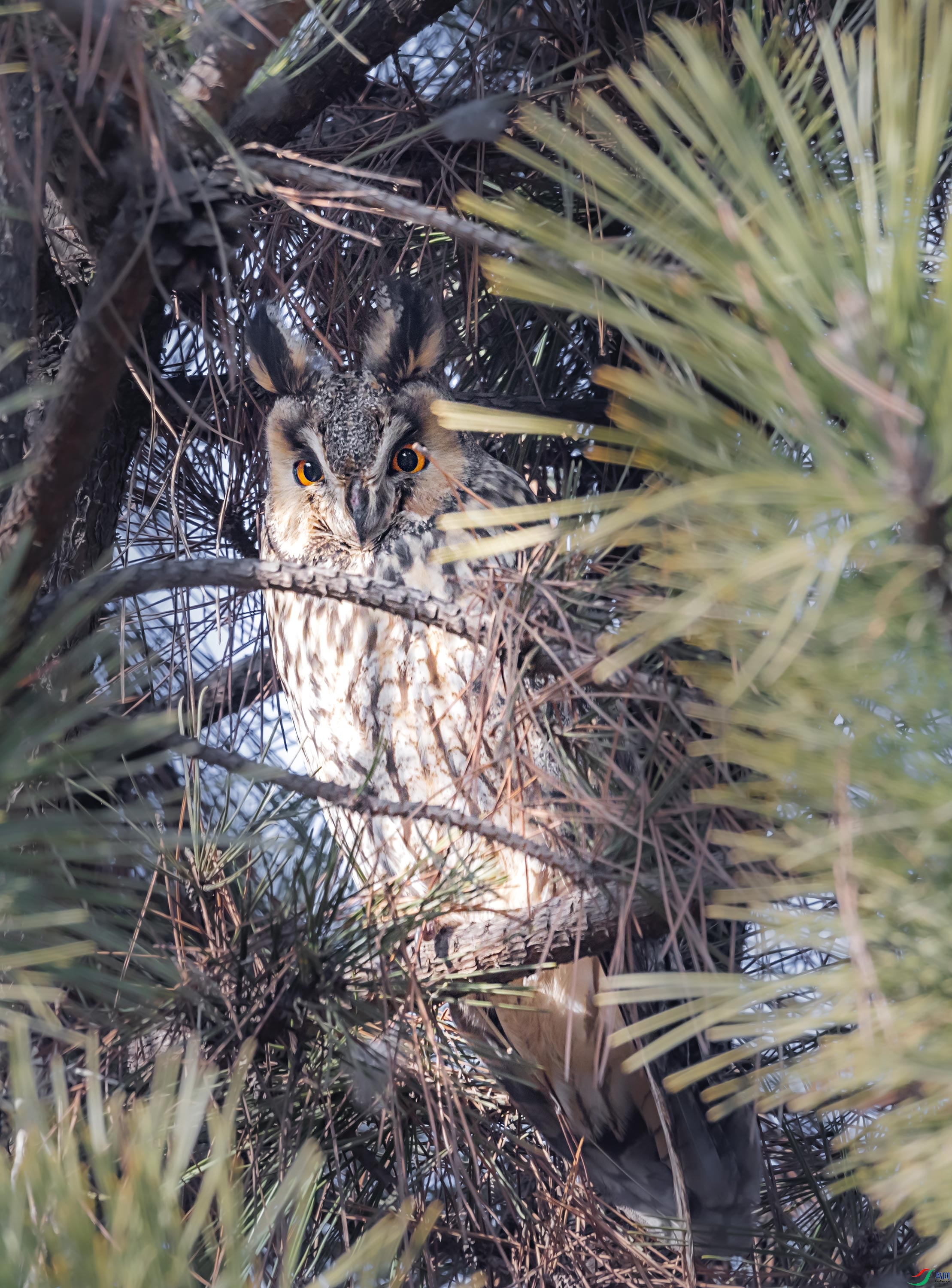 278A7135.jpg