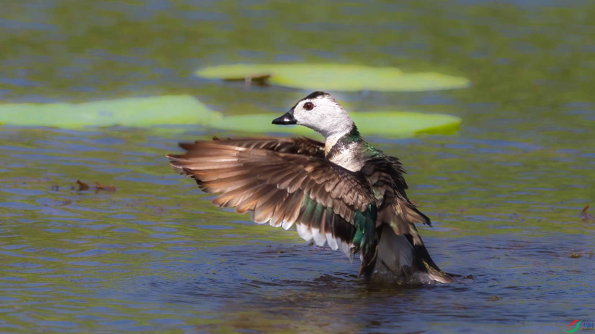 EV3W9742-�༭ (2).jpg