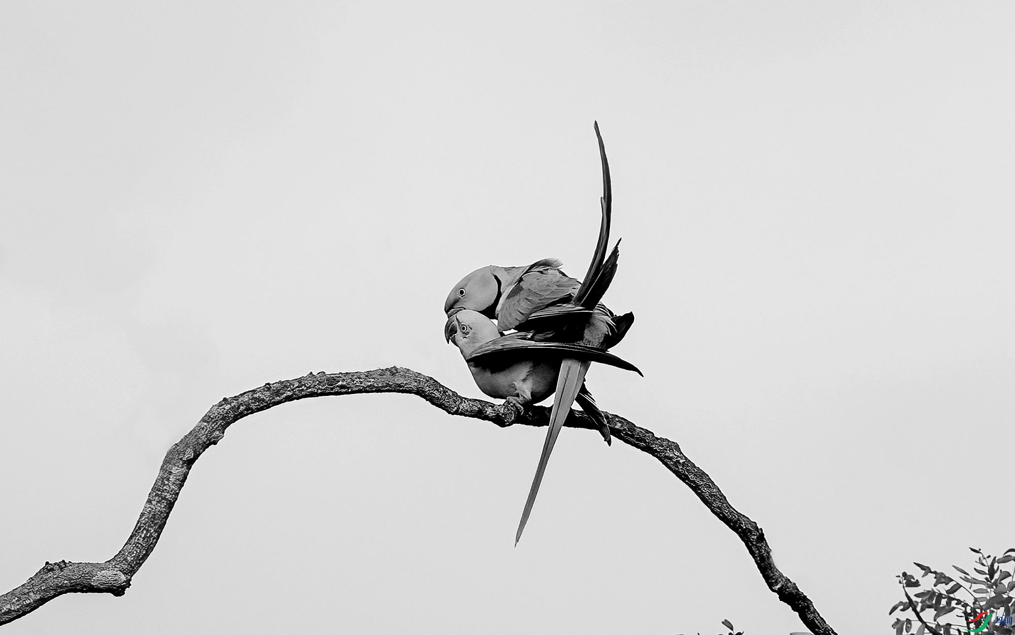 AC3I3656 ����_����.jpg