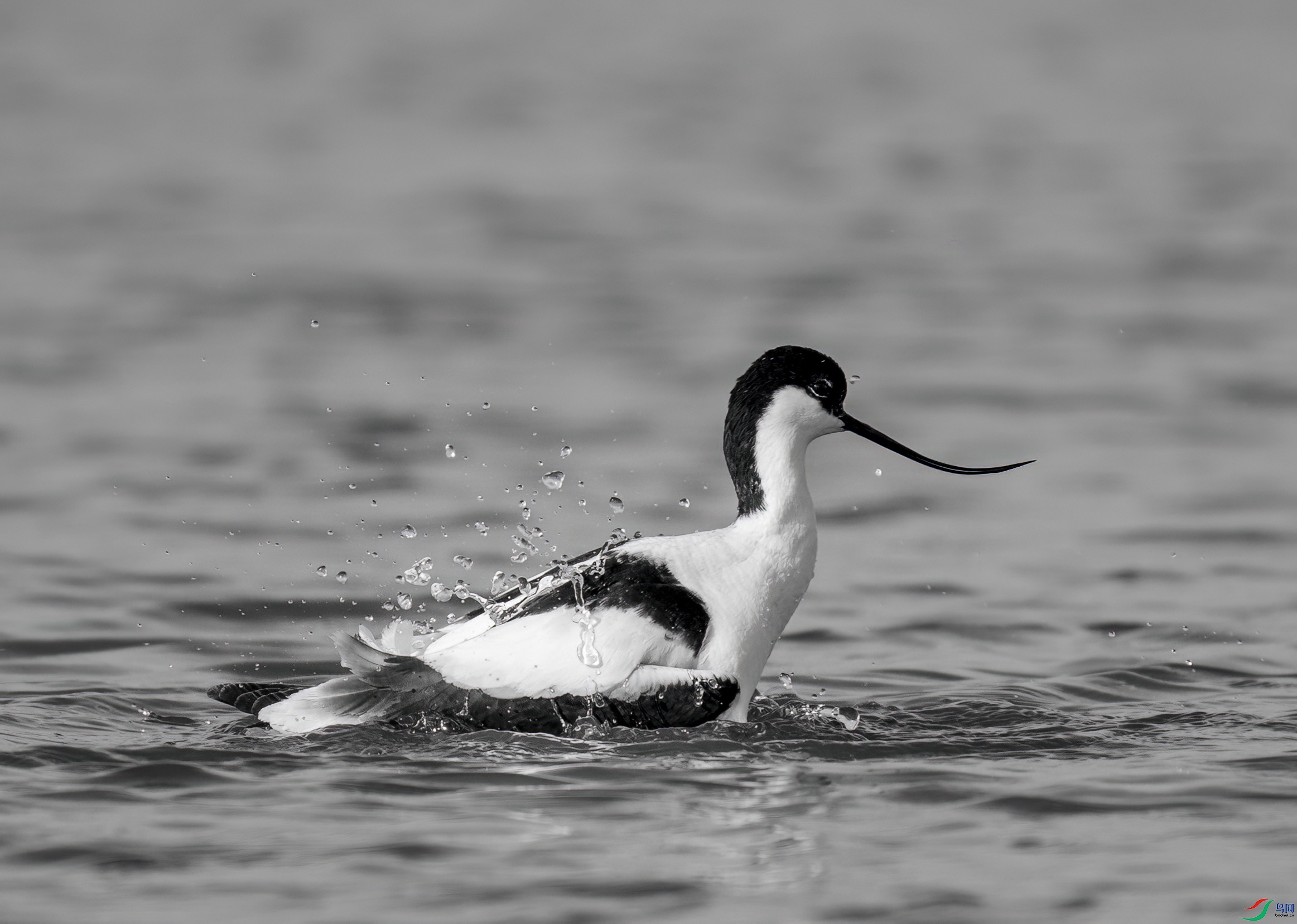 DSC01269 ����_����.jpg