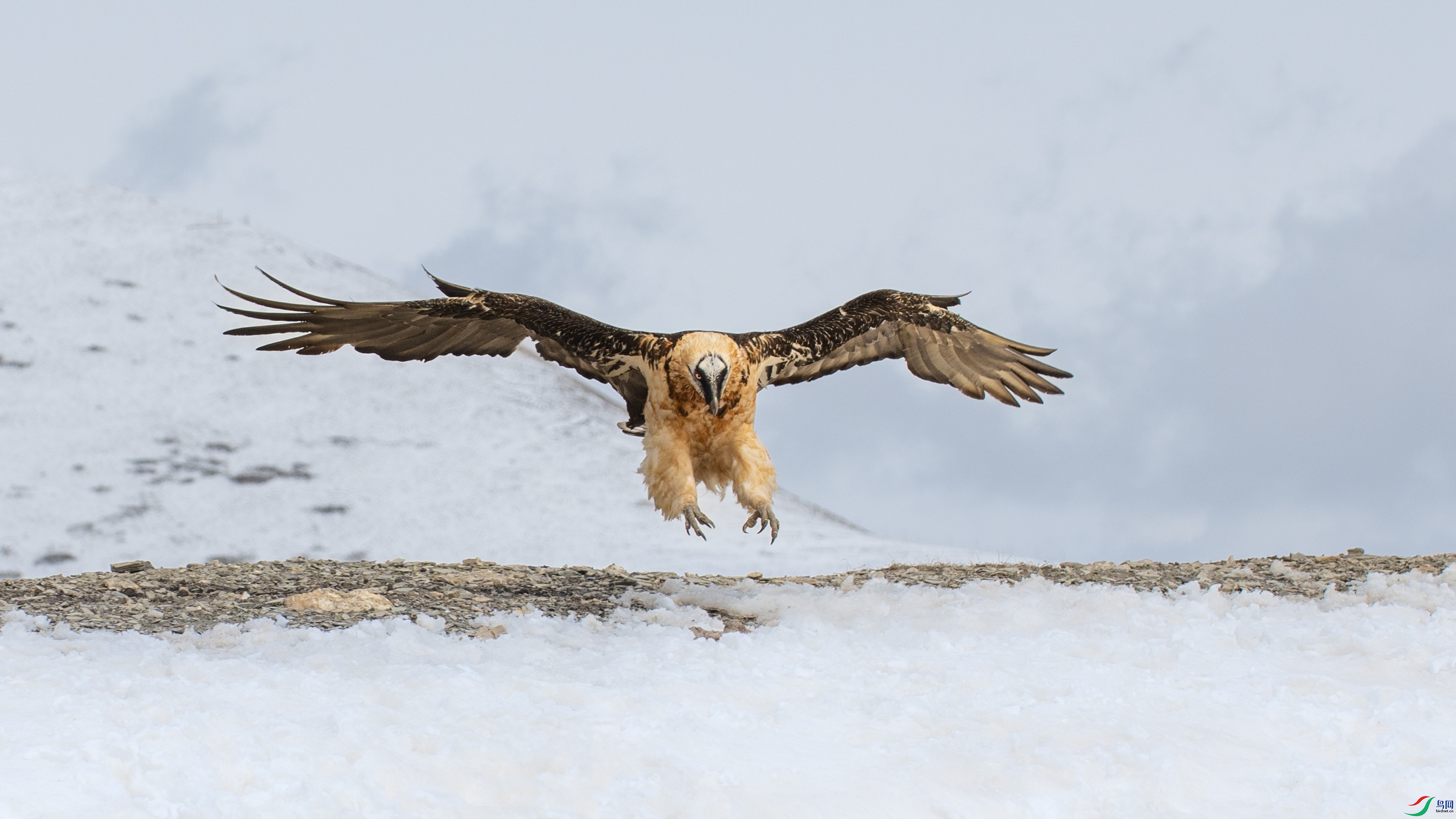 DSC_4505-1.jpg