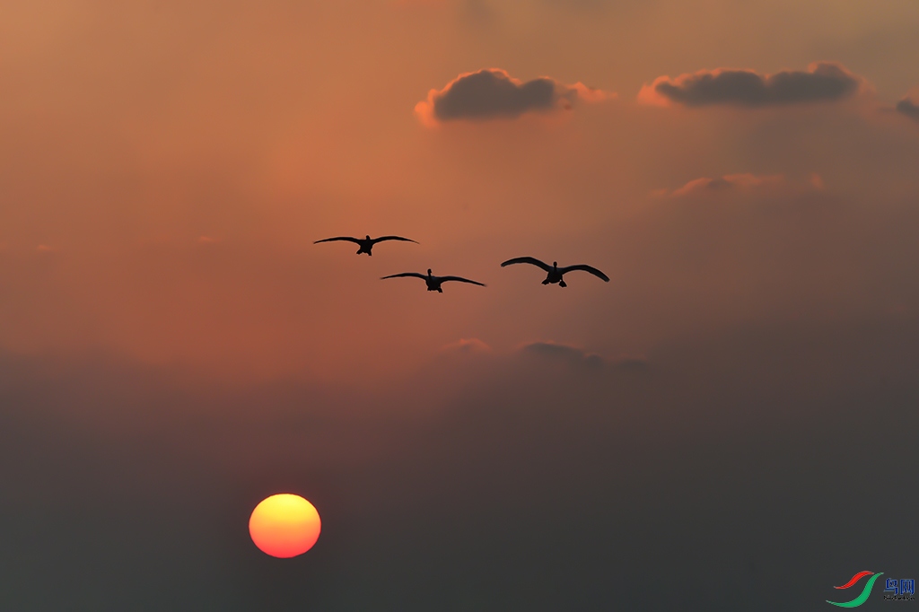 D4S_8003S.jpg