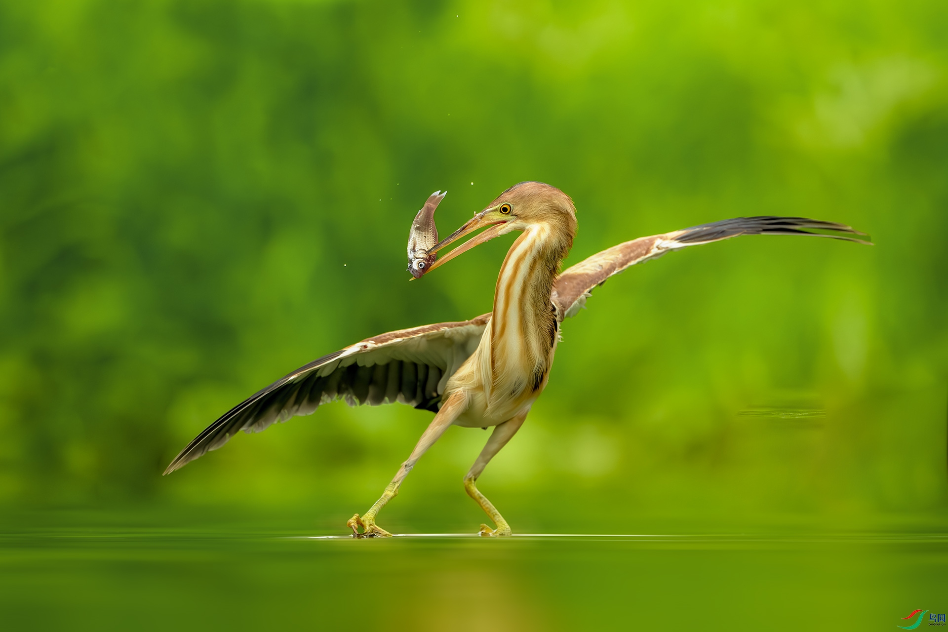 _DSC9819-����ǿ-NR ����С.jpg