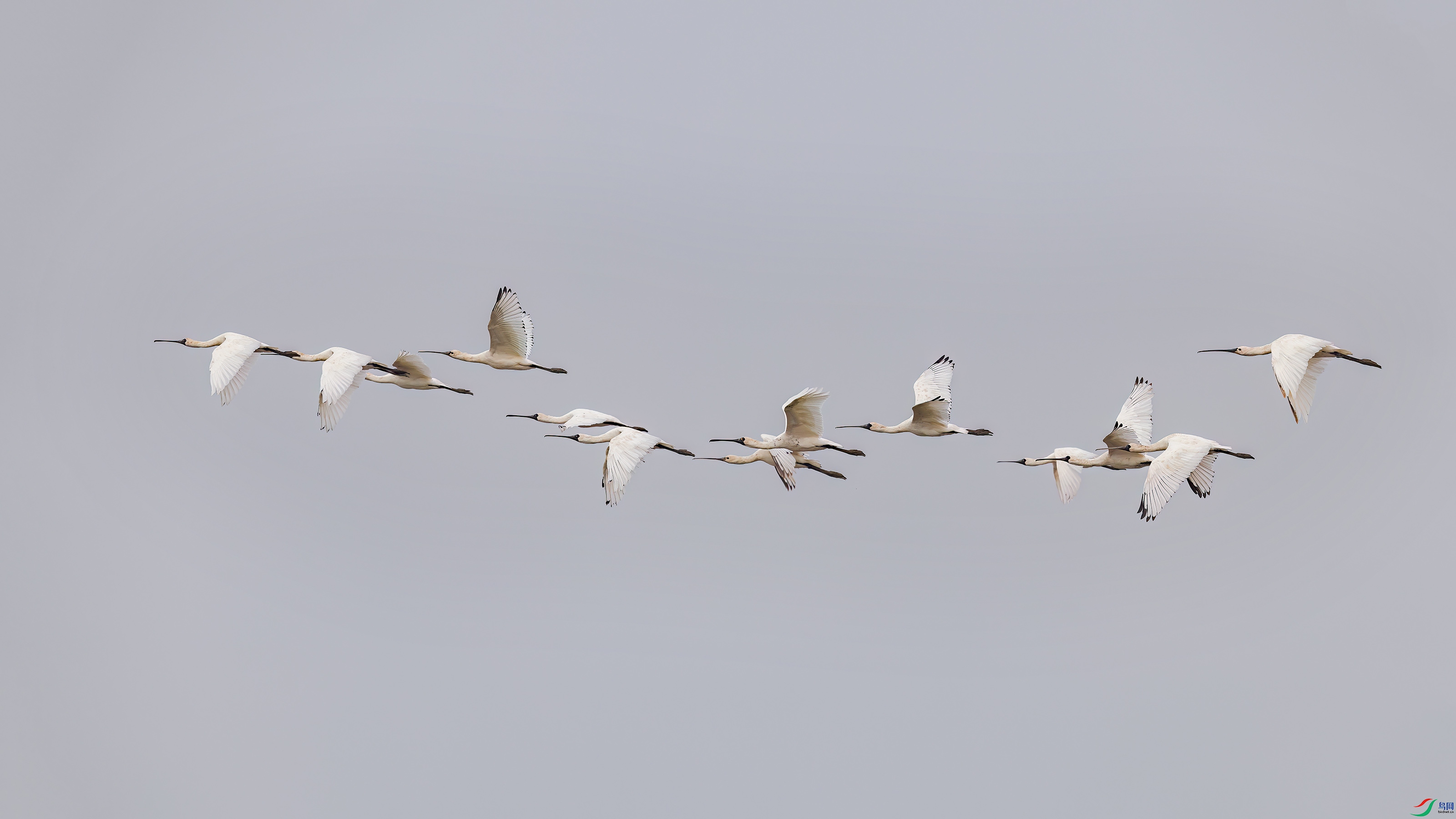 _E8A8174 ����.jpg