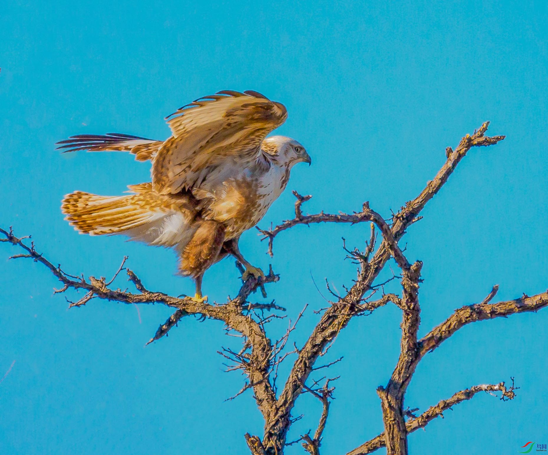 P1063266 --չ��--5.jpg