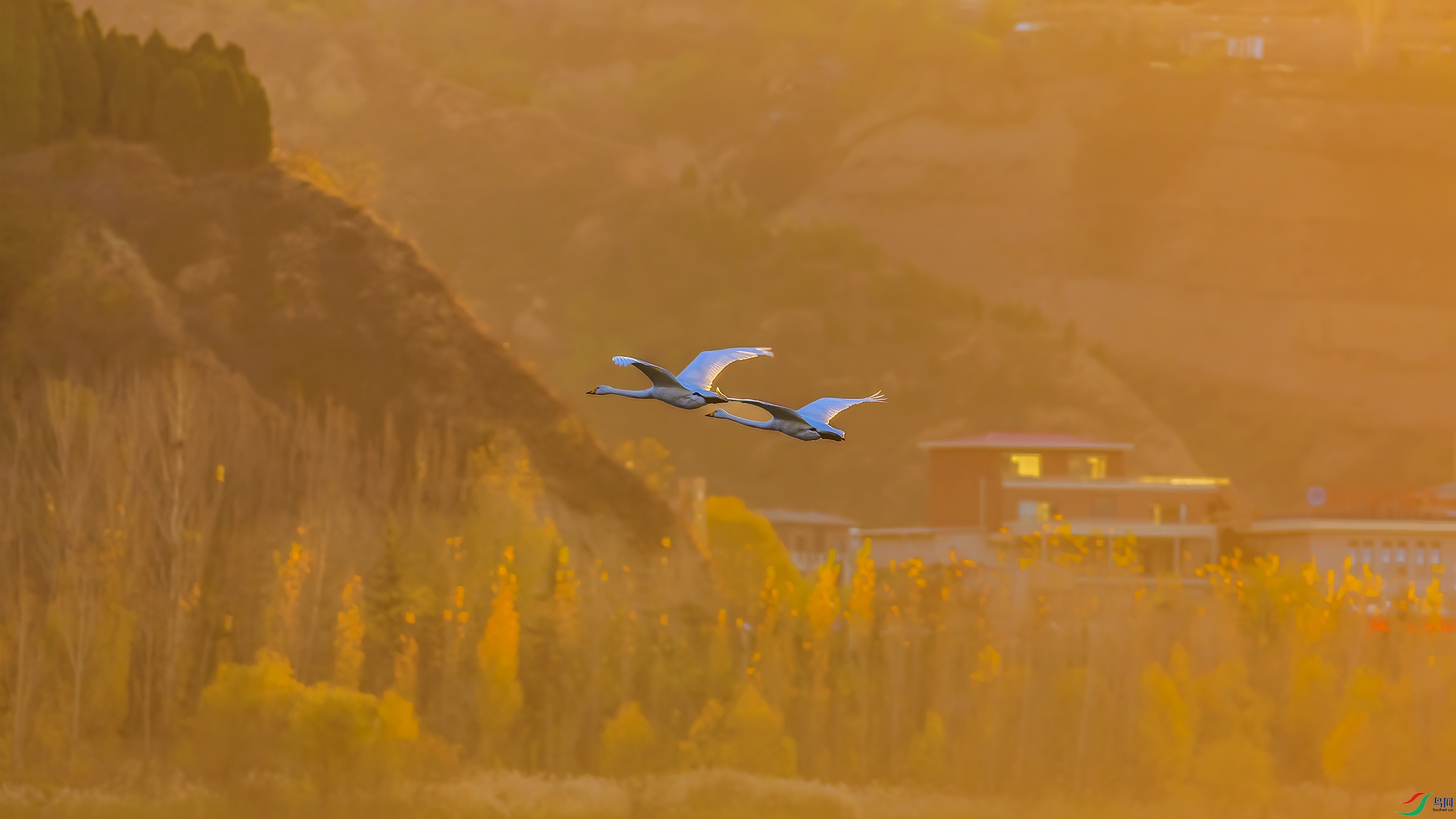 G81A5240 ����.jpg