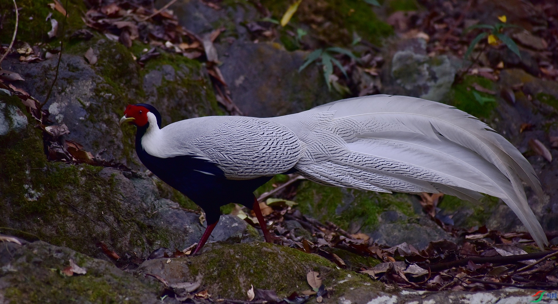 D8I_3951.jpg