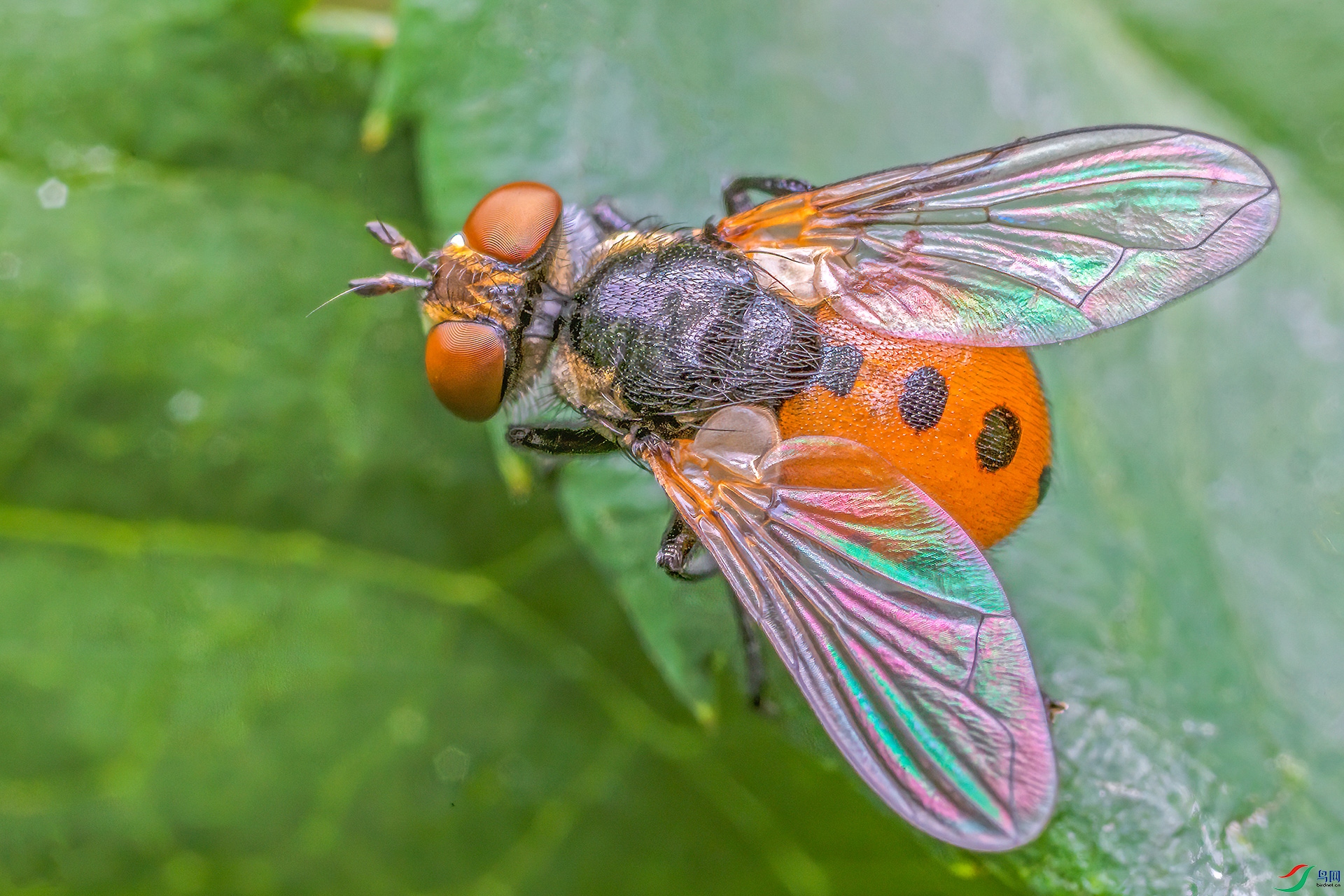 033A3509.jpg