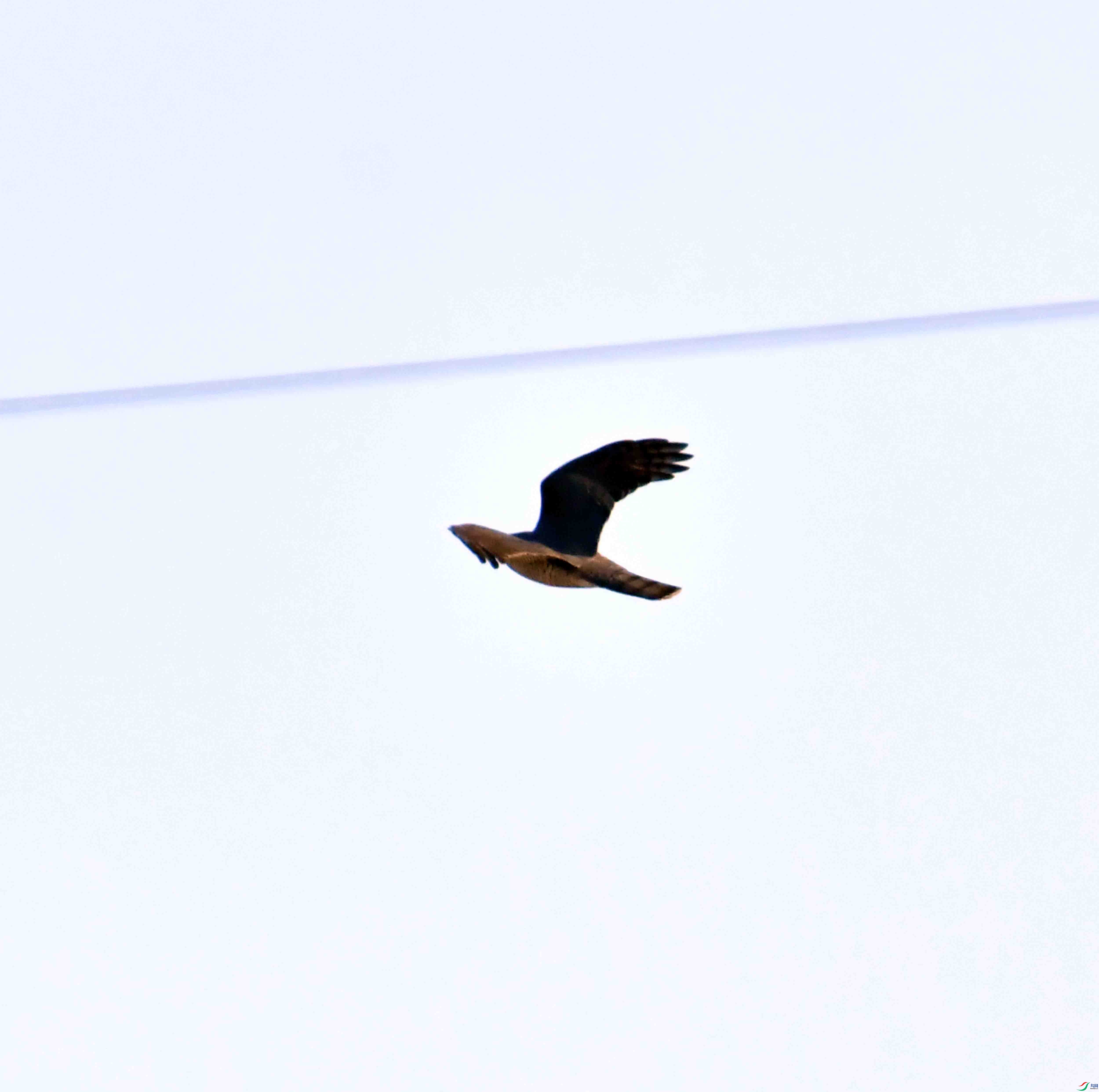 DSC_2558.JPG