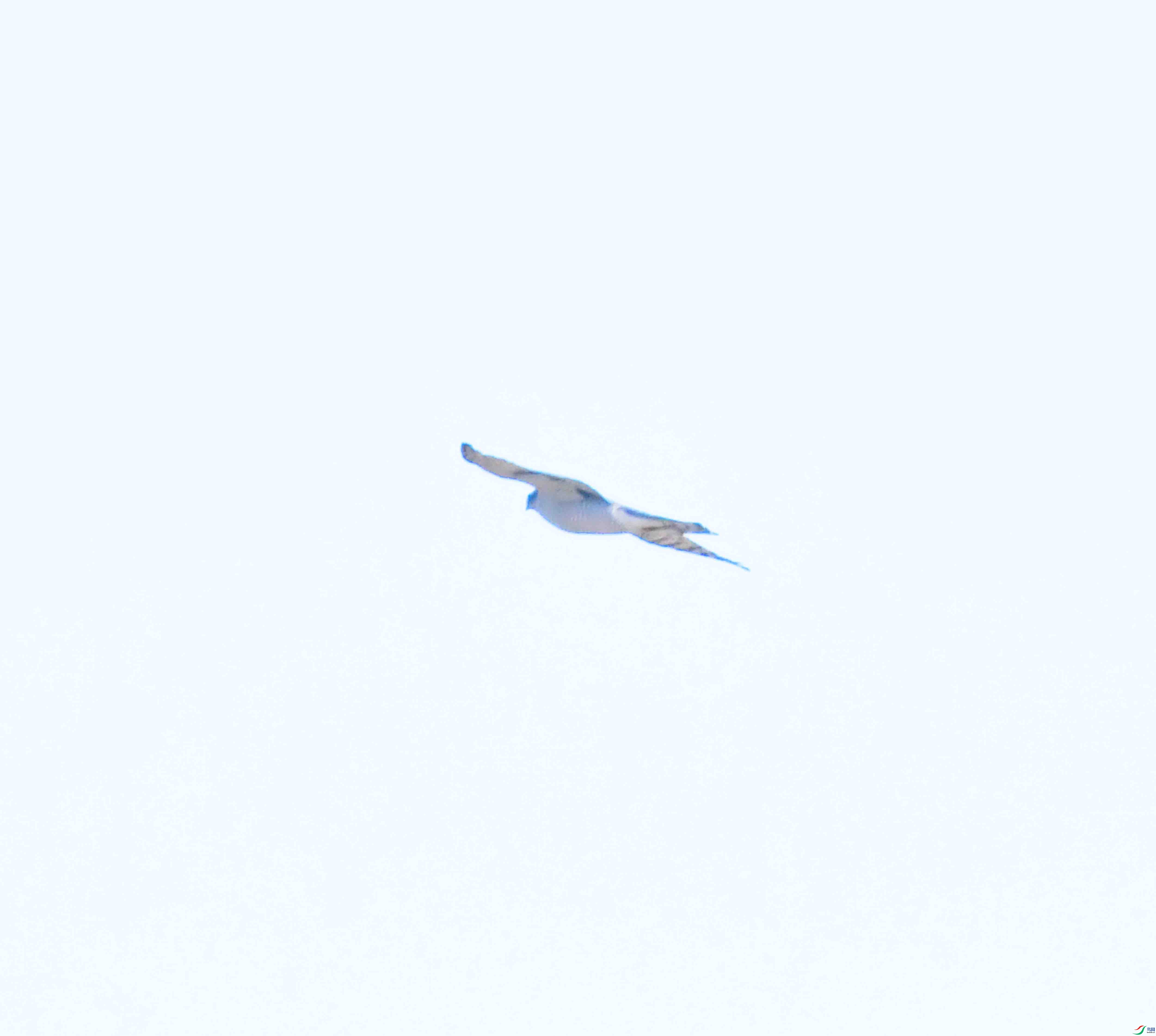 DSC_2561.JPG