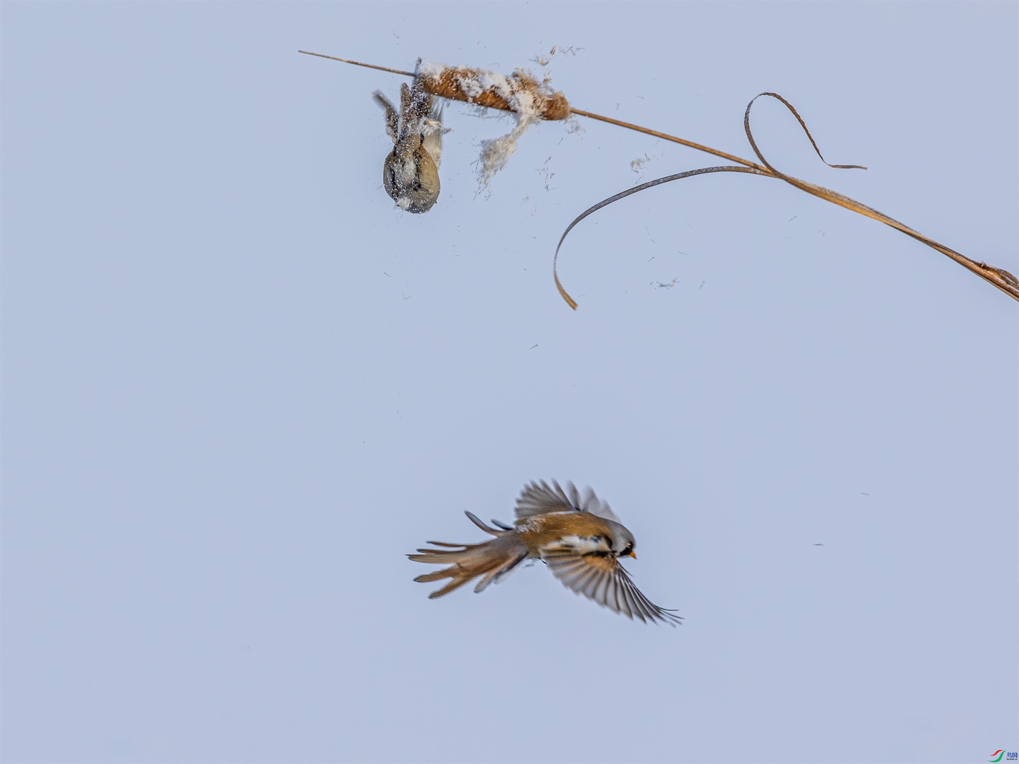 1K3A6224 ����1.jpg