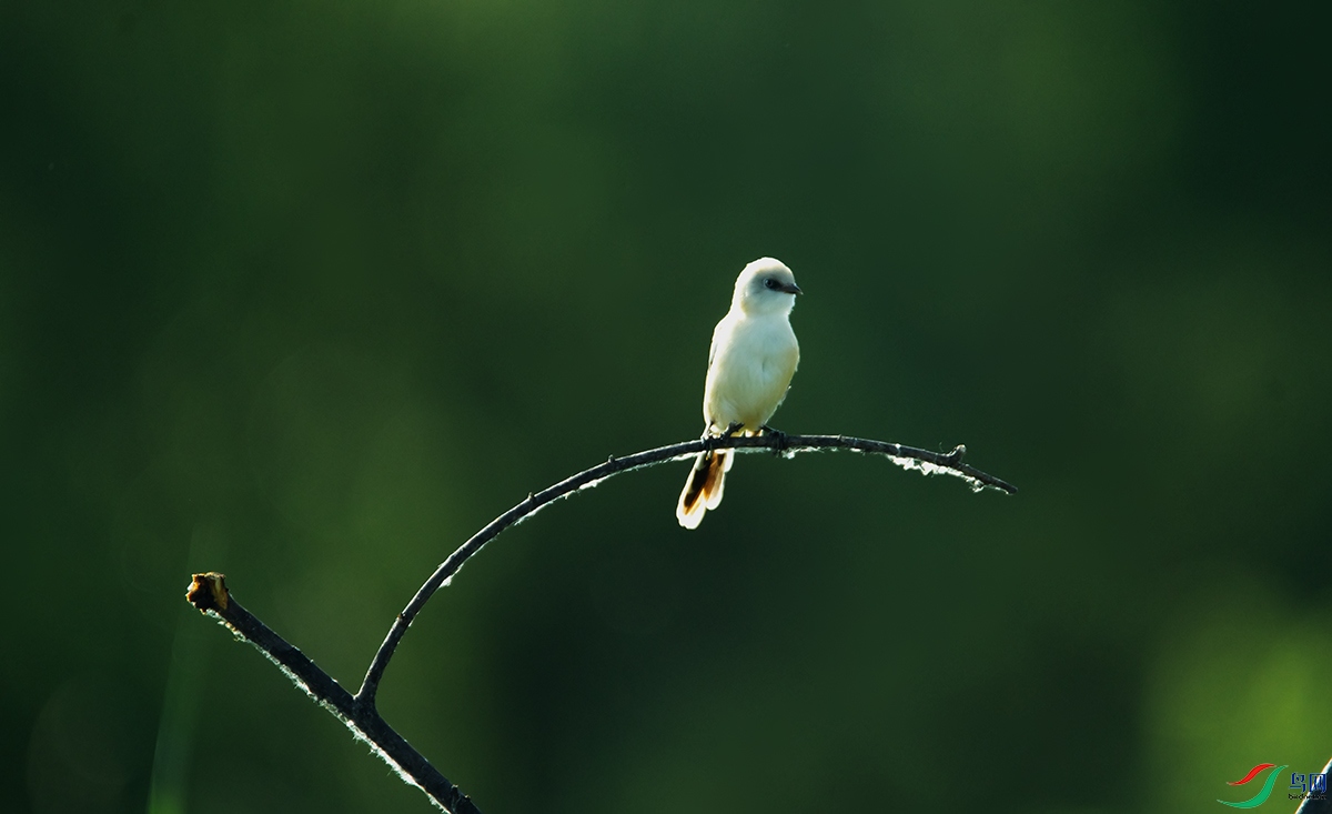 DSC_9059.jpg