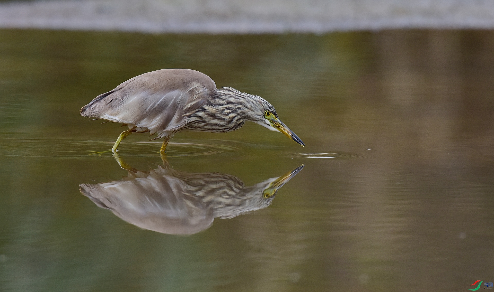 D8I_5039.jpg