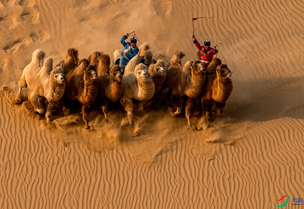 �ɱ����� 