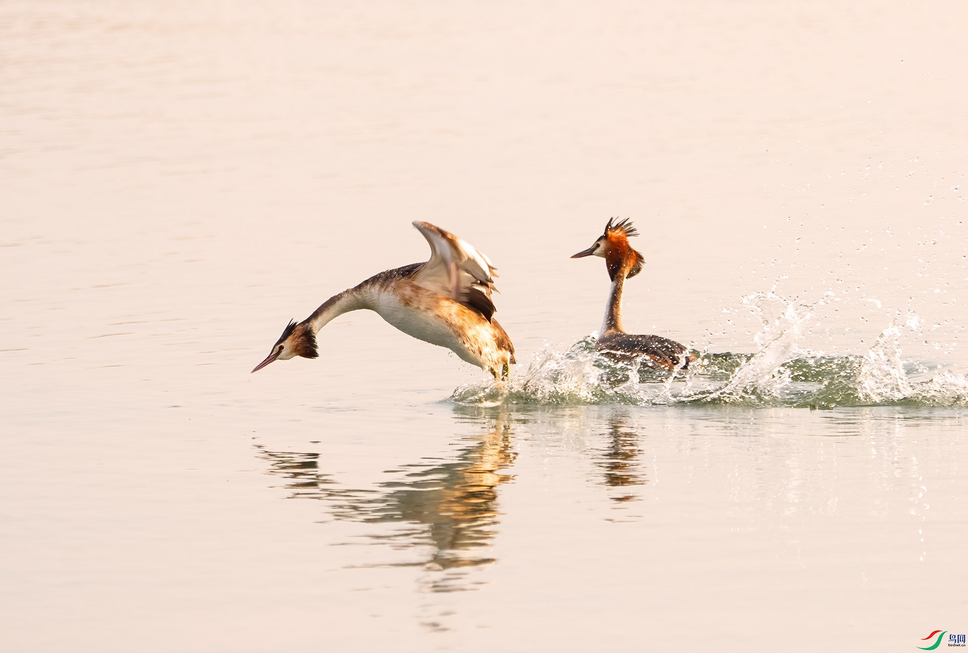 DSC_2723- ��ͷ.jpg