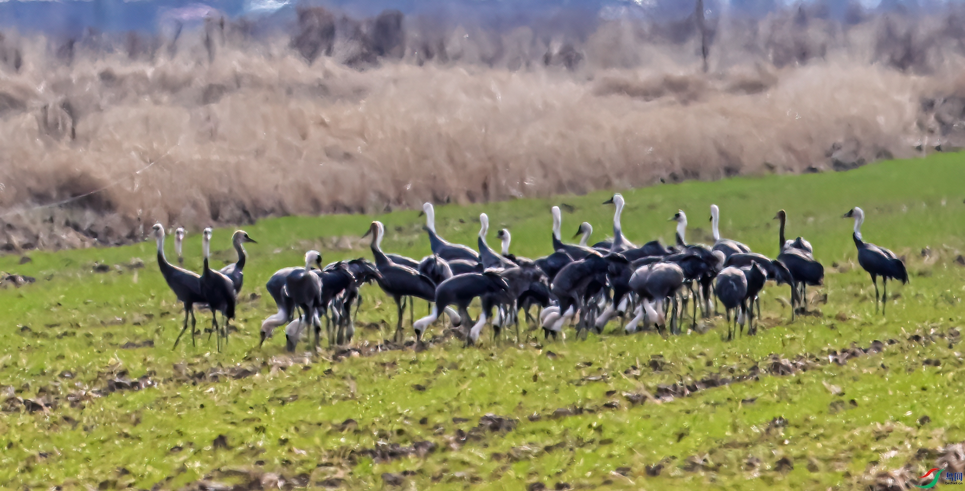 DSC_7507-21.jpg