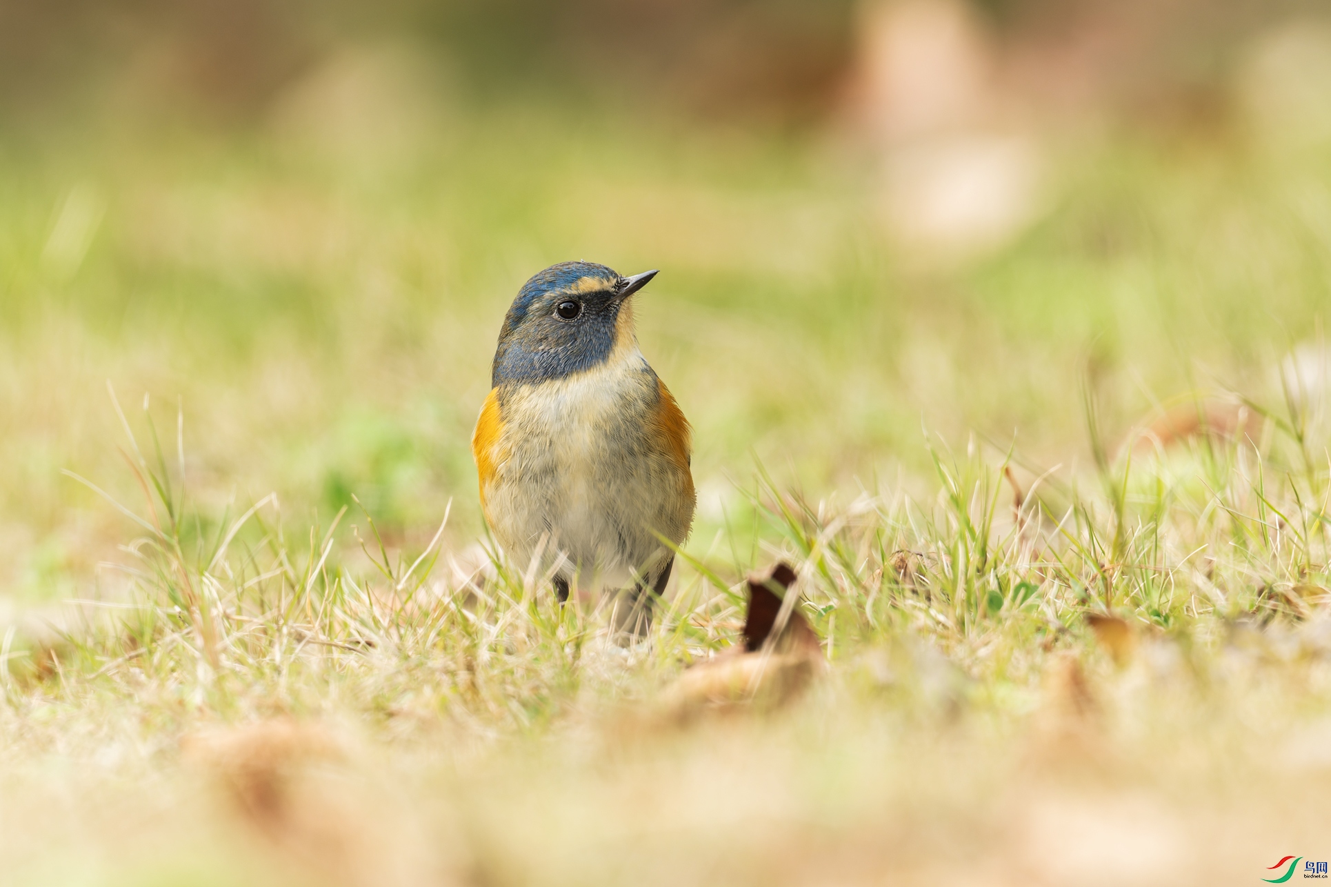 _DSC0359-NEF_DxO_DeepPRIME-1.jpg