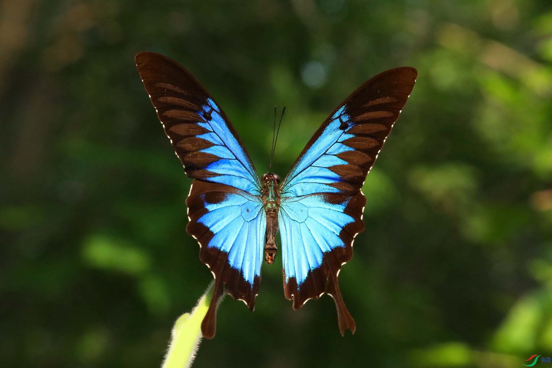 490A1079����.JPG