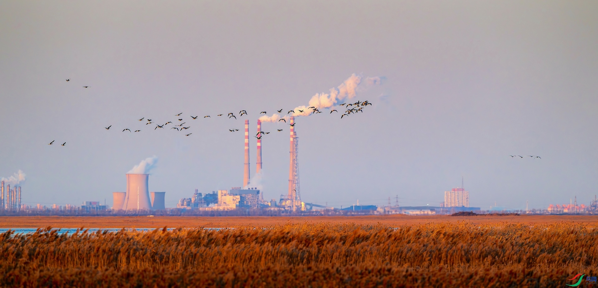 1_XXL6872-����ǿ-NR-1 2.jpeg