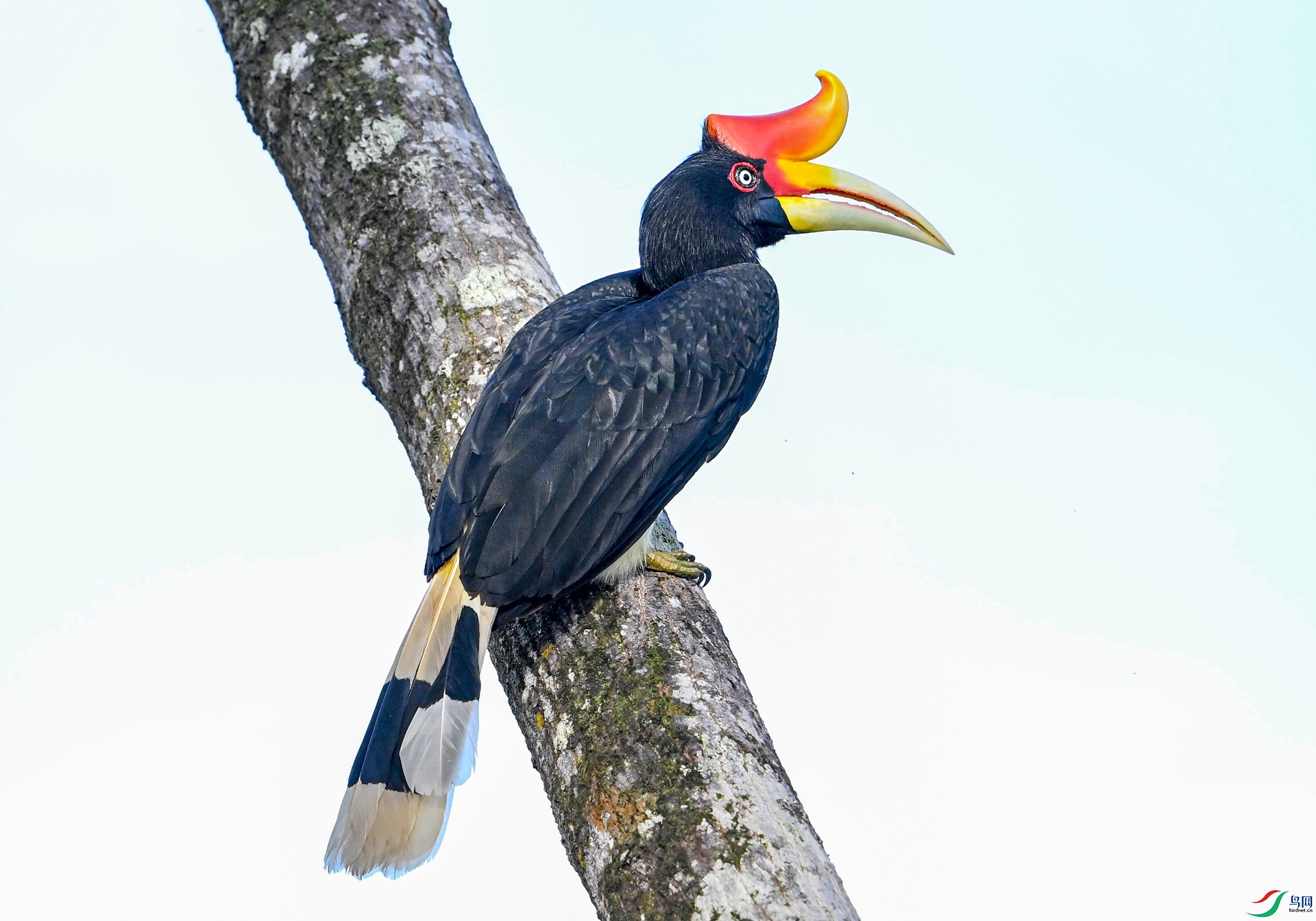 DSC_9640-sharpen.jpg