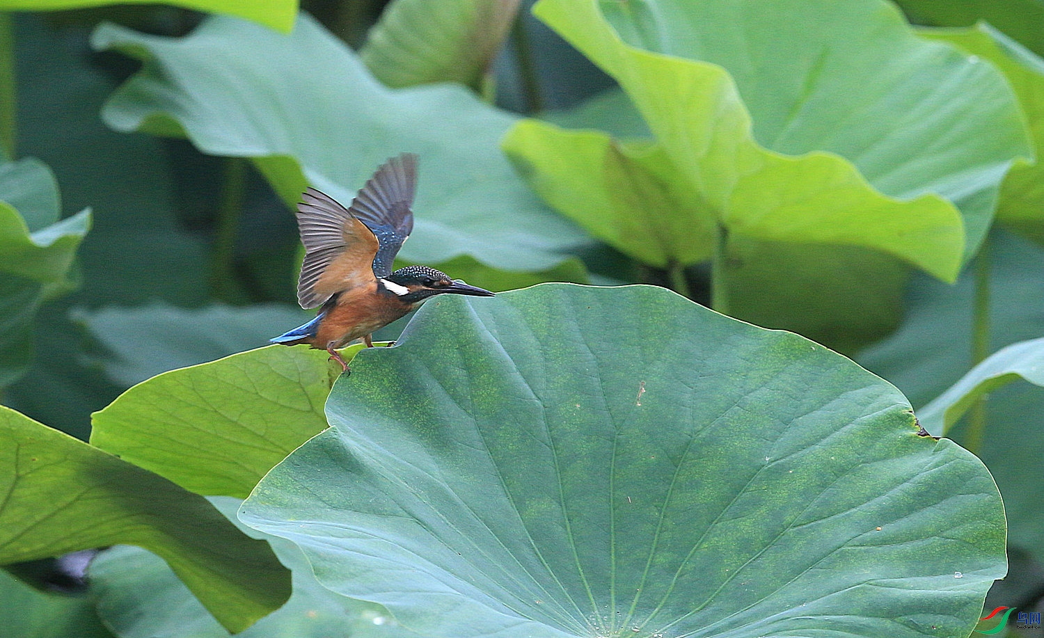 A124 ����.jpg