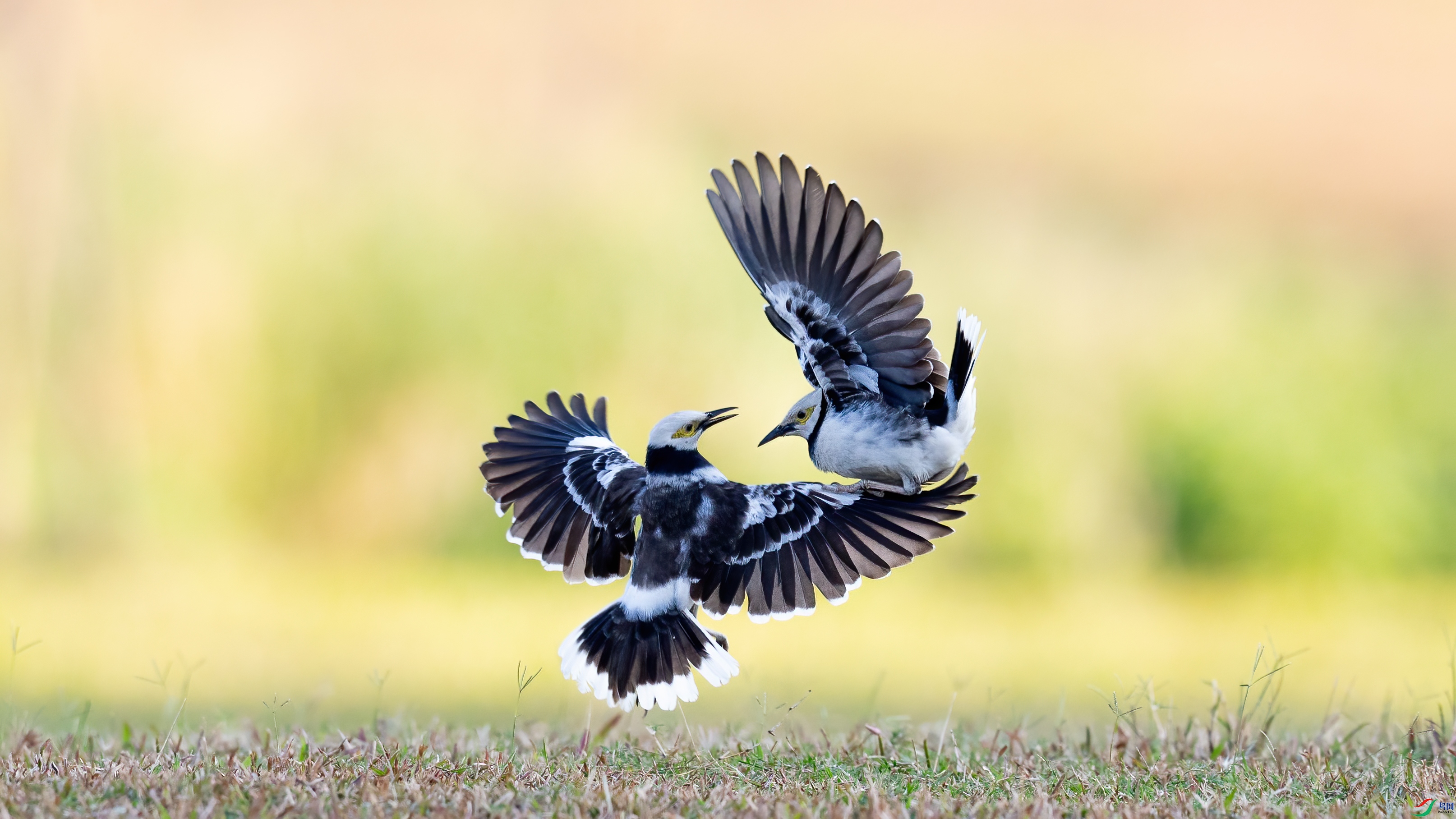 048A8495 ����.jpg