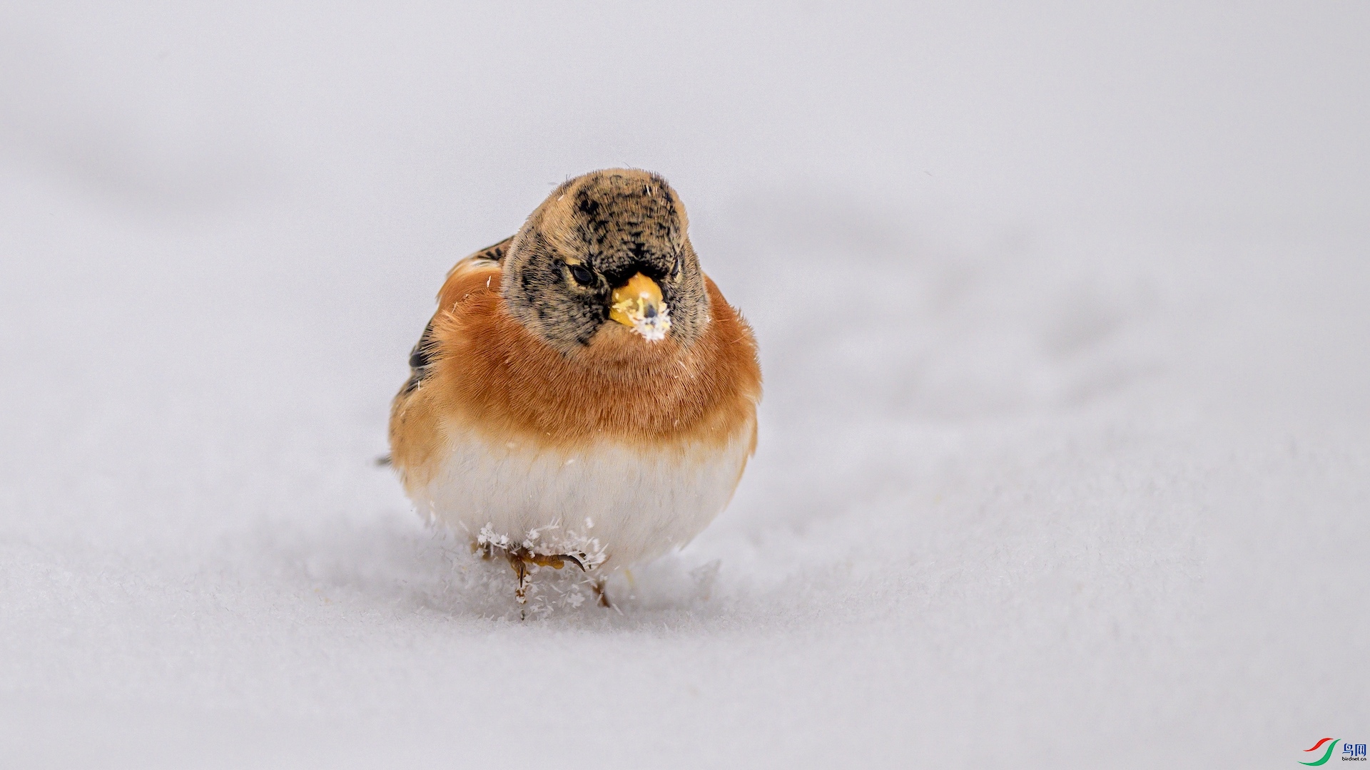 1_DSC6752 ����.jpeg