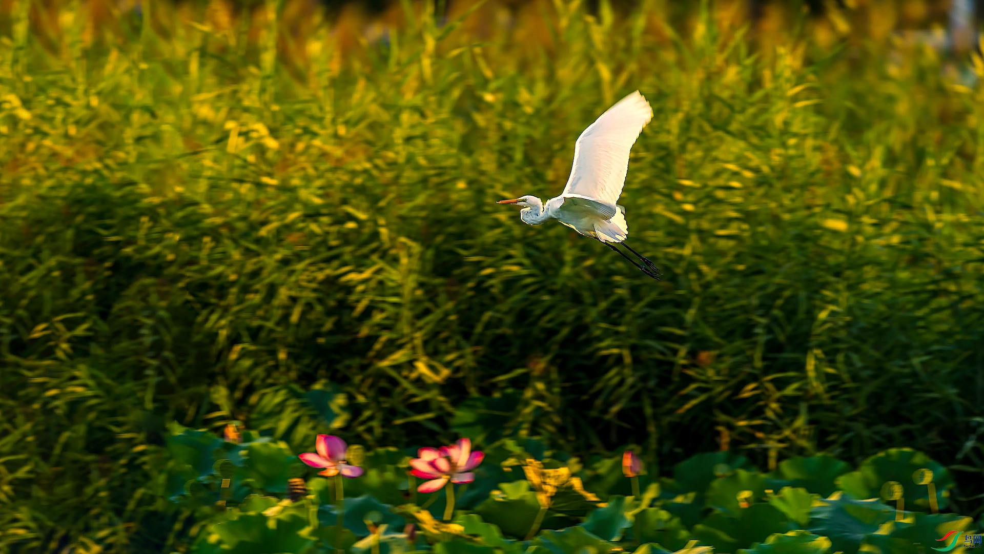 1_XXI2170 �����ĸ���.jpeg