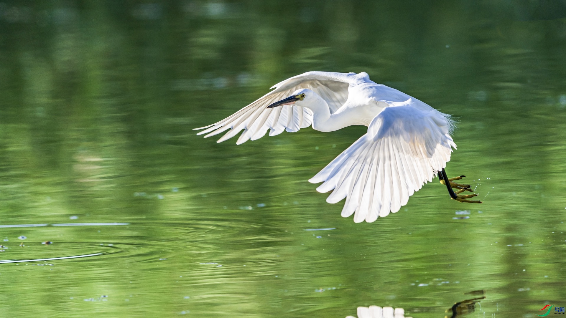 1δ����-2.85jpg ����.jpeg