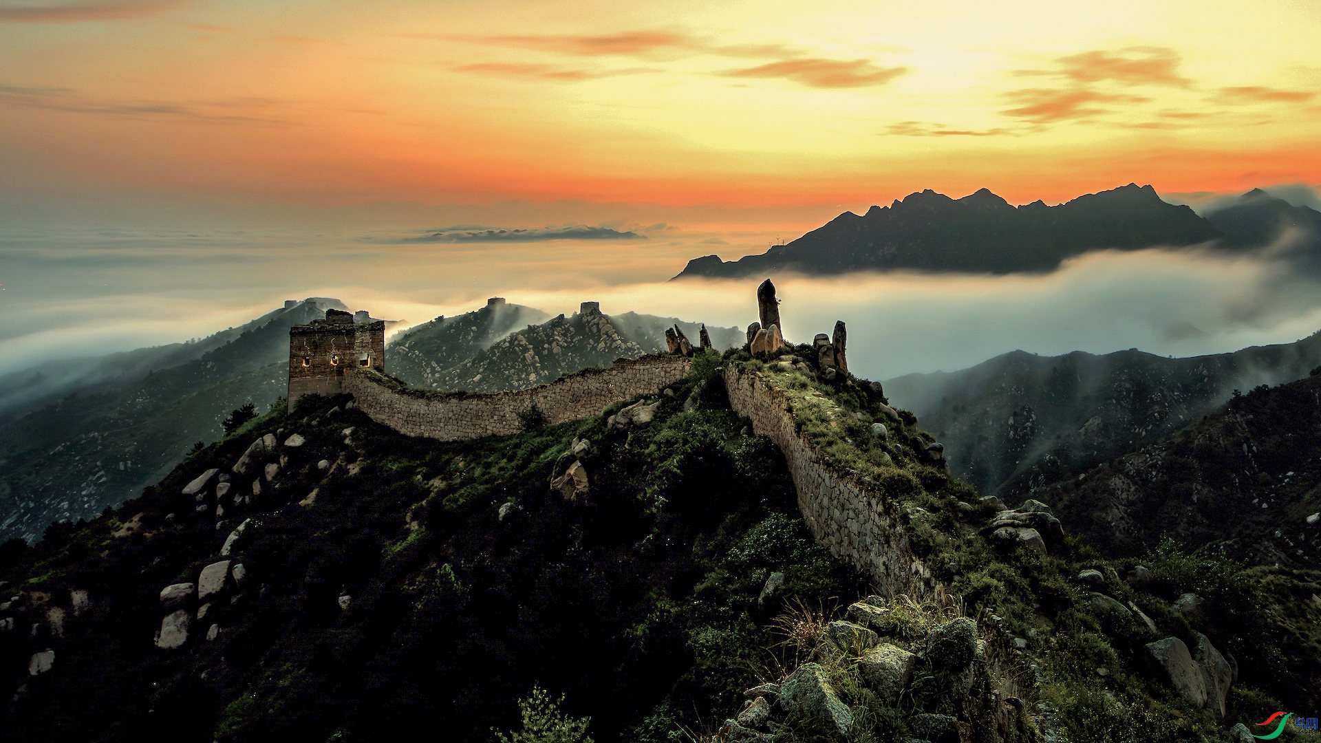 2_XXL5909-����ǿ-NR ���� 3 2-1.jpg