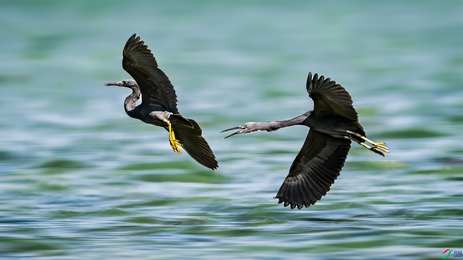 ����׷��