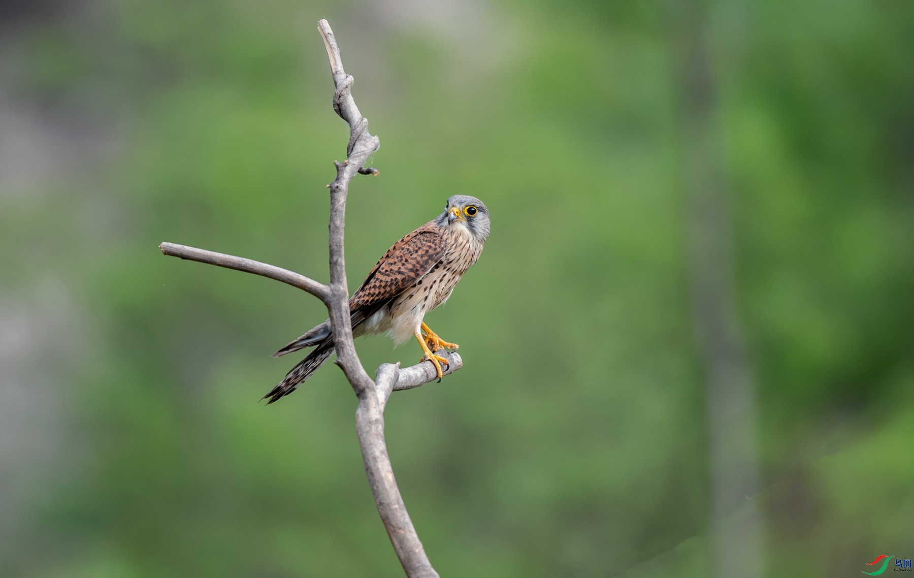 DSC_0720_����.jpg
