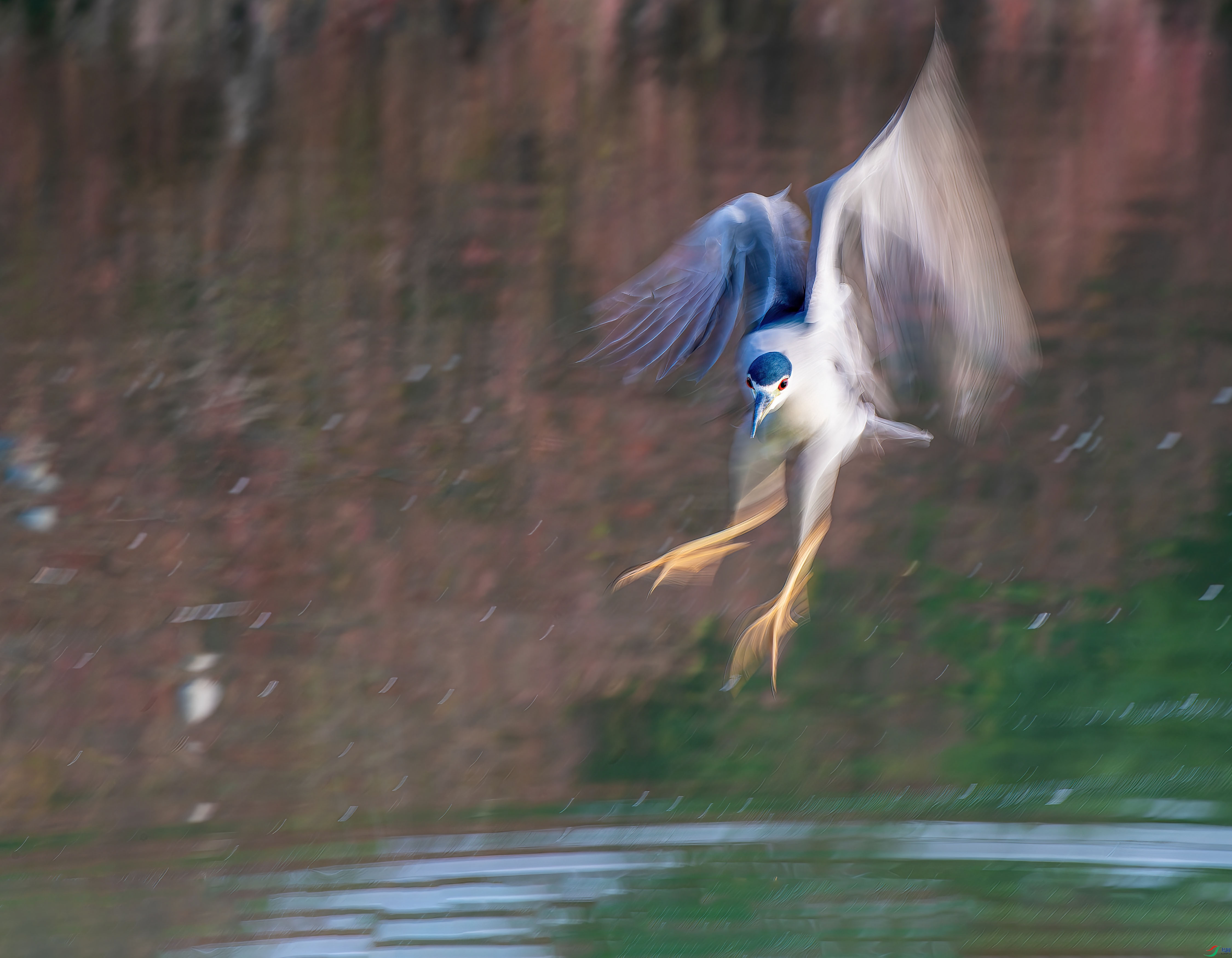 DSC_5854-.jpg