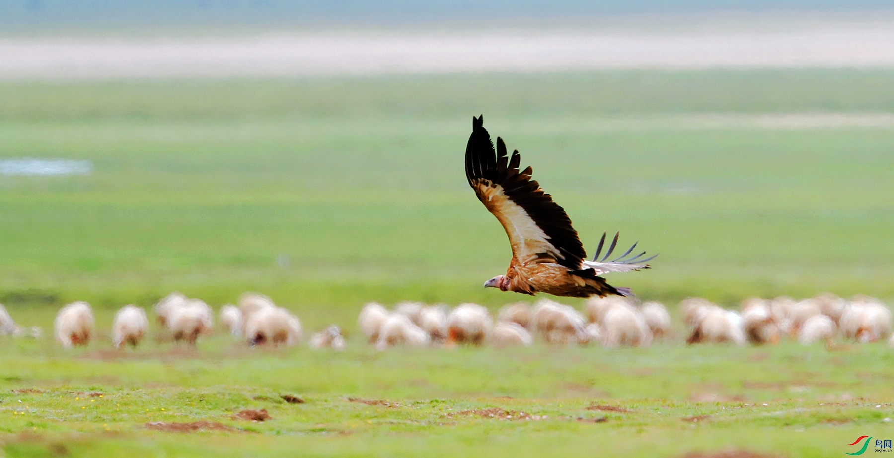 _E2I0863_����.jpg