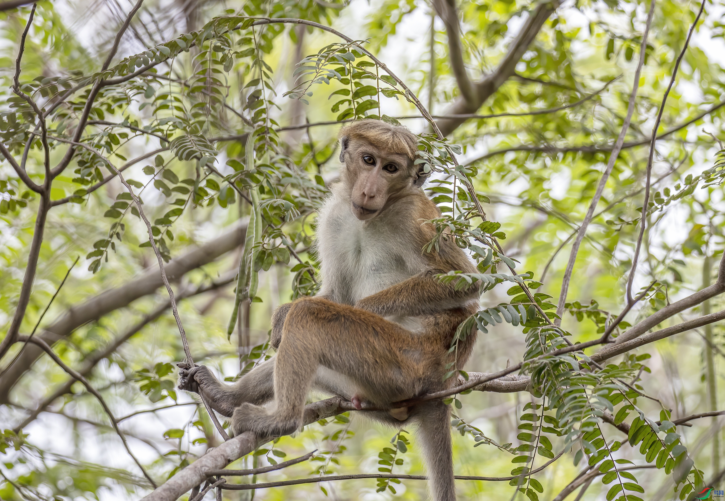 CB0A1280 ����.jpg