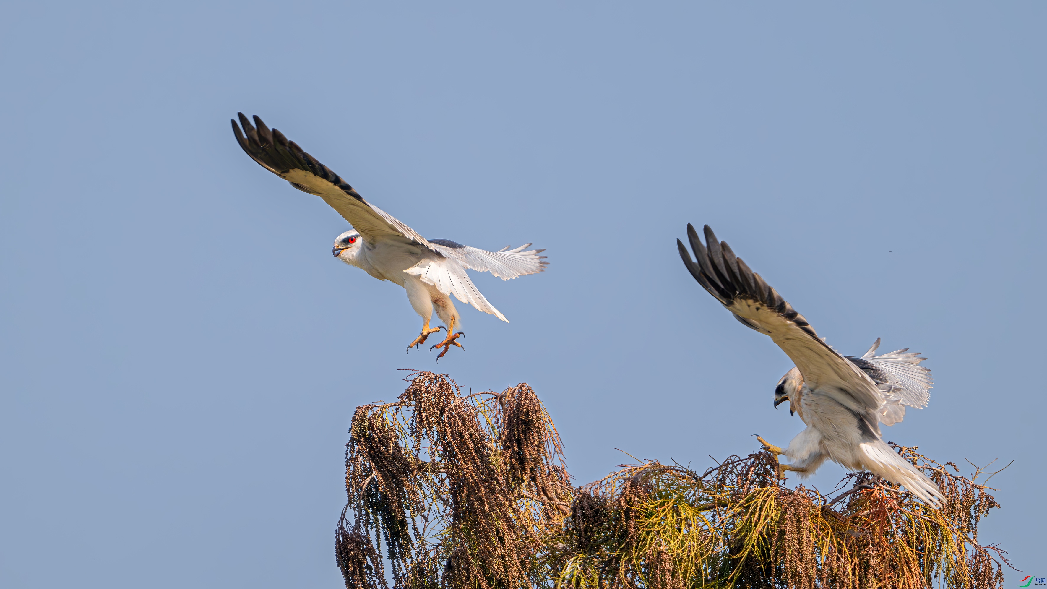 DSC_4436.jpg