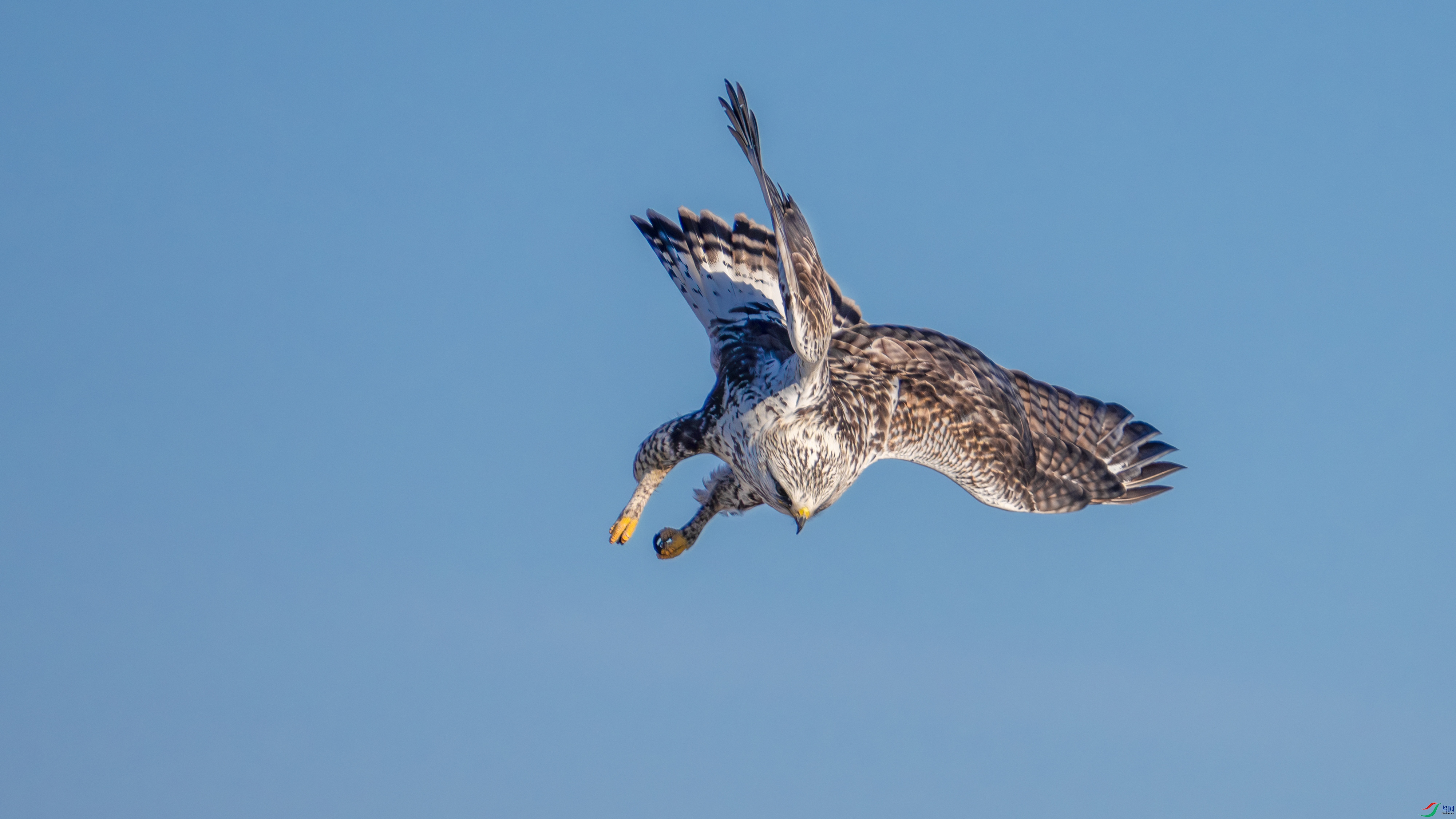 _DSC7569 ����.jpg