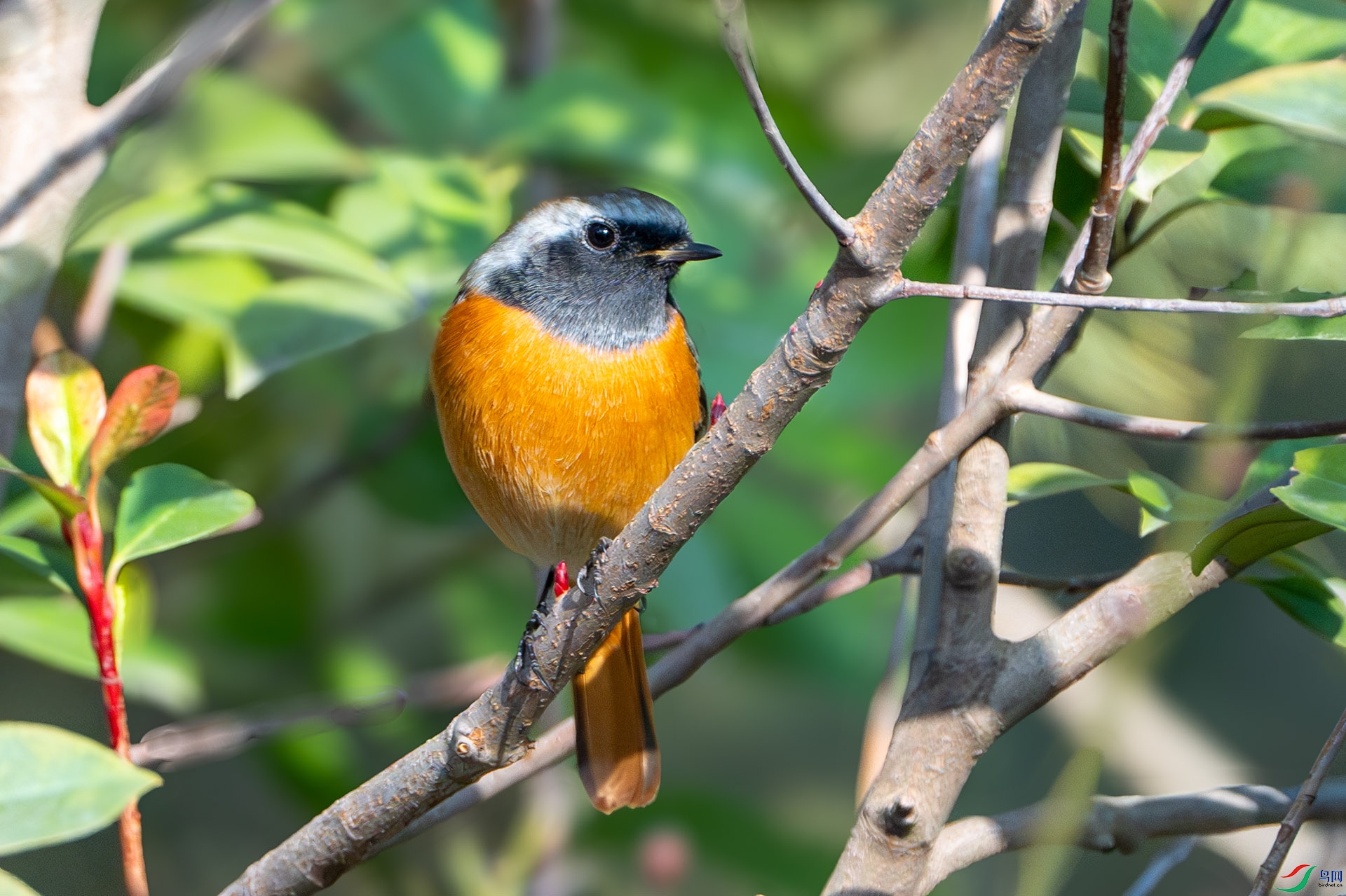 DSC06493-����ǿ-NR ����.jpg