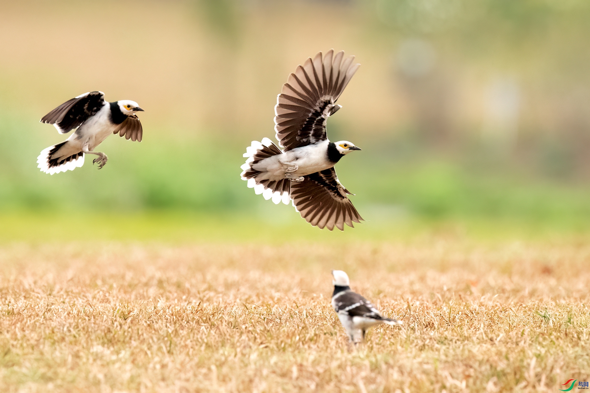 B86I4438 _����.jpg