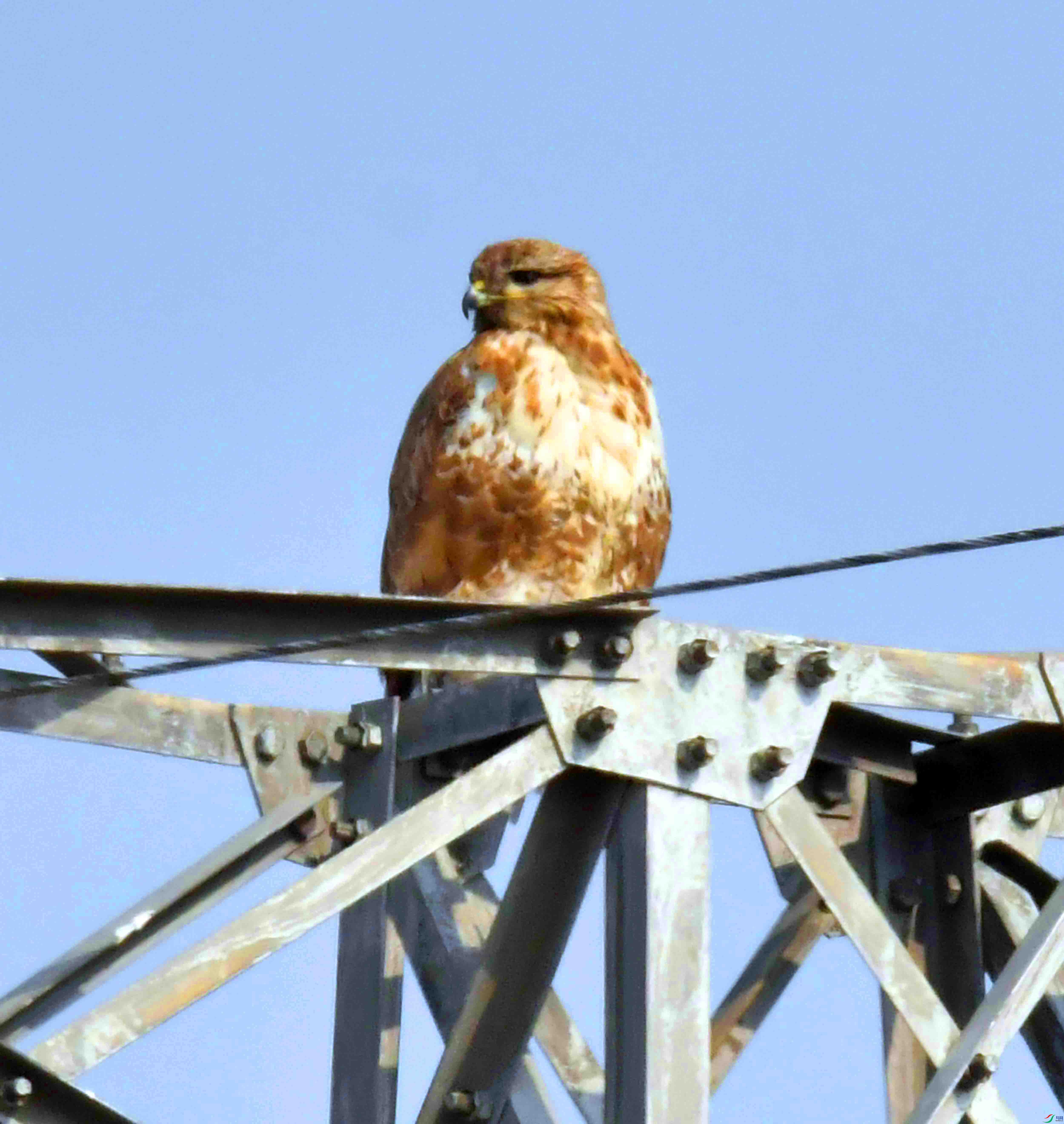 DSC_6651.JPG