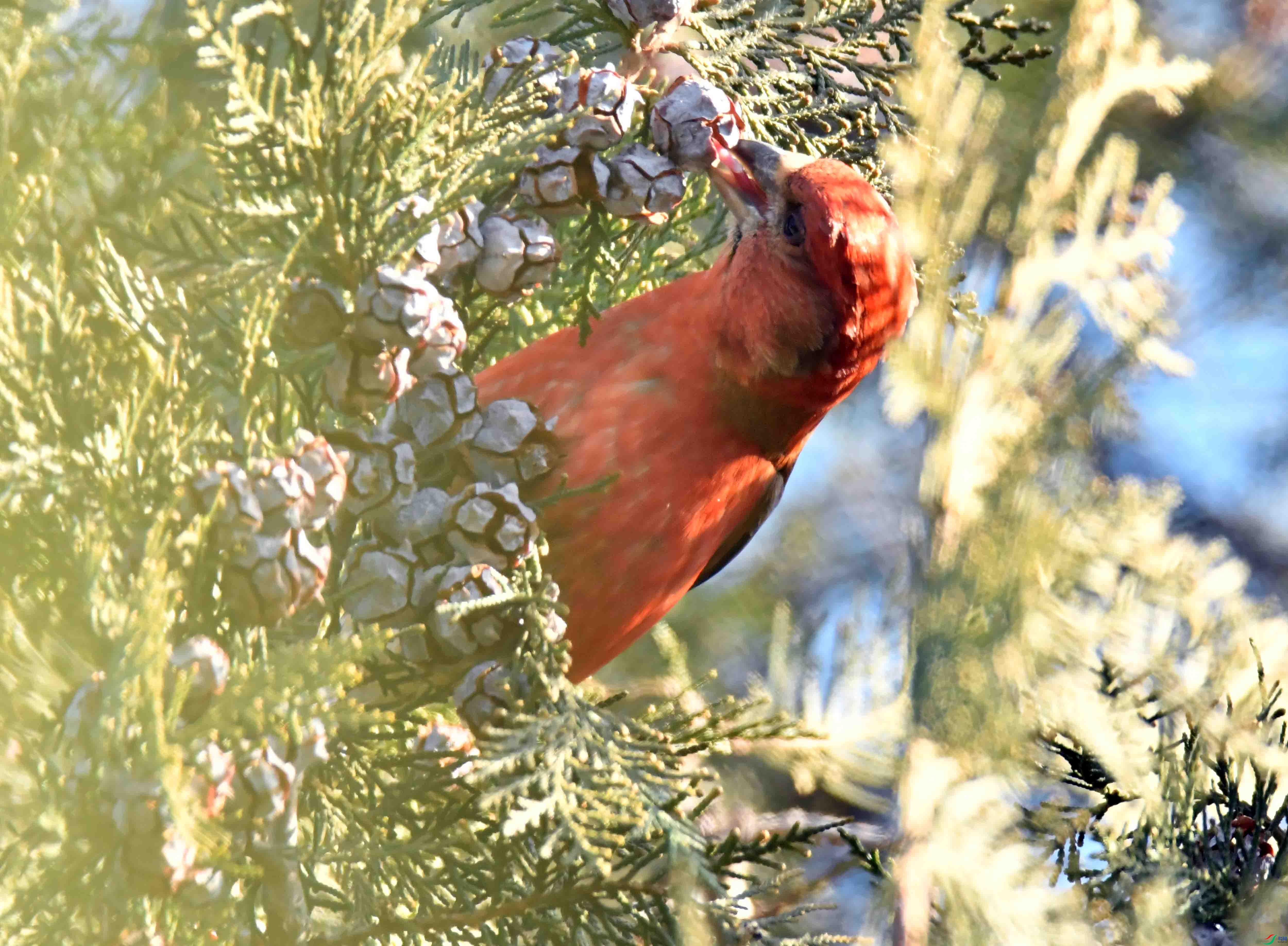 DSC_6897.JPG
