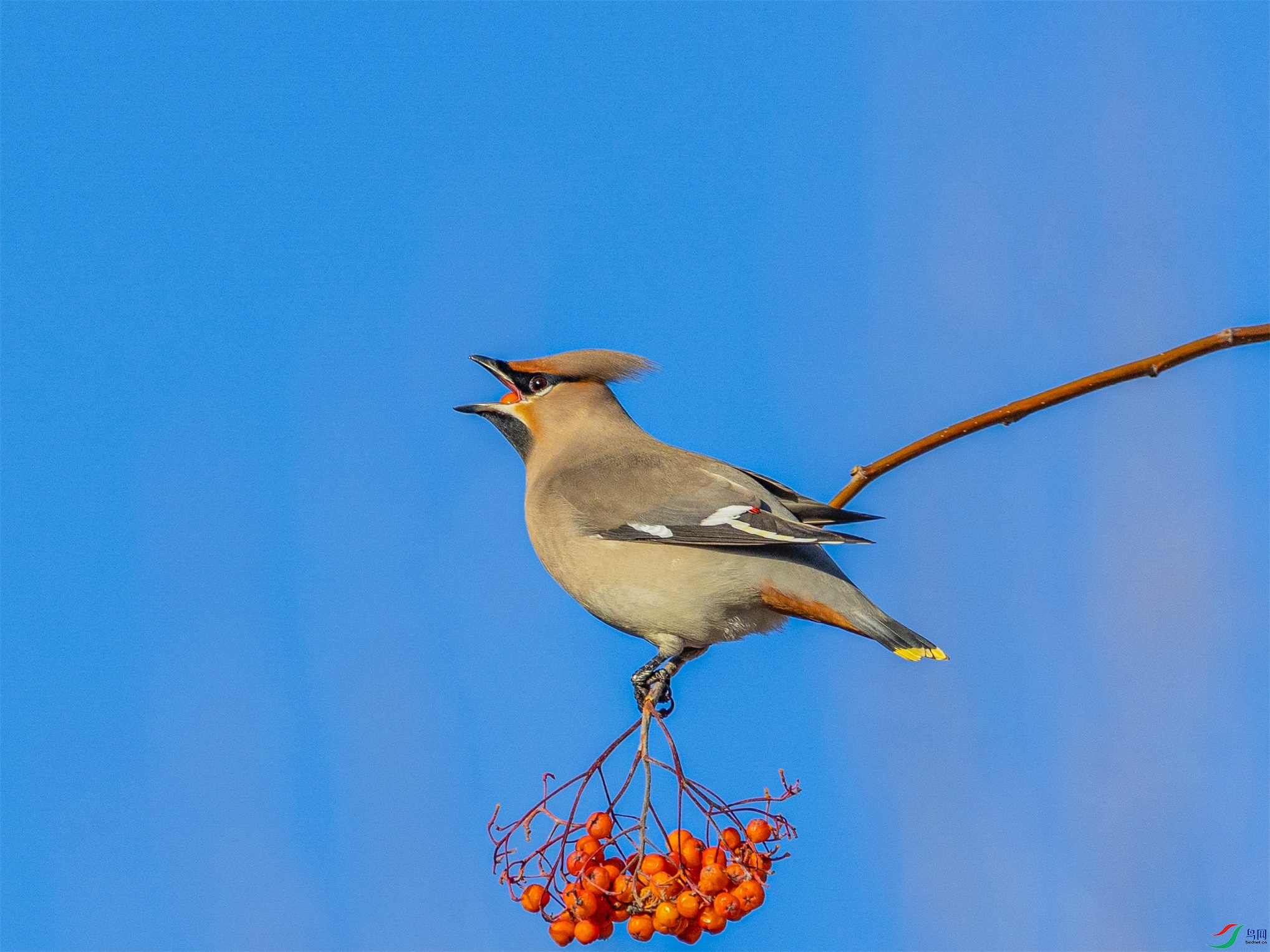 1K3A5297 ����1.jpg